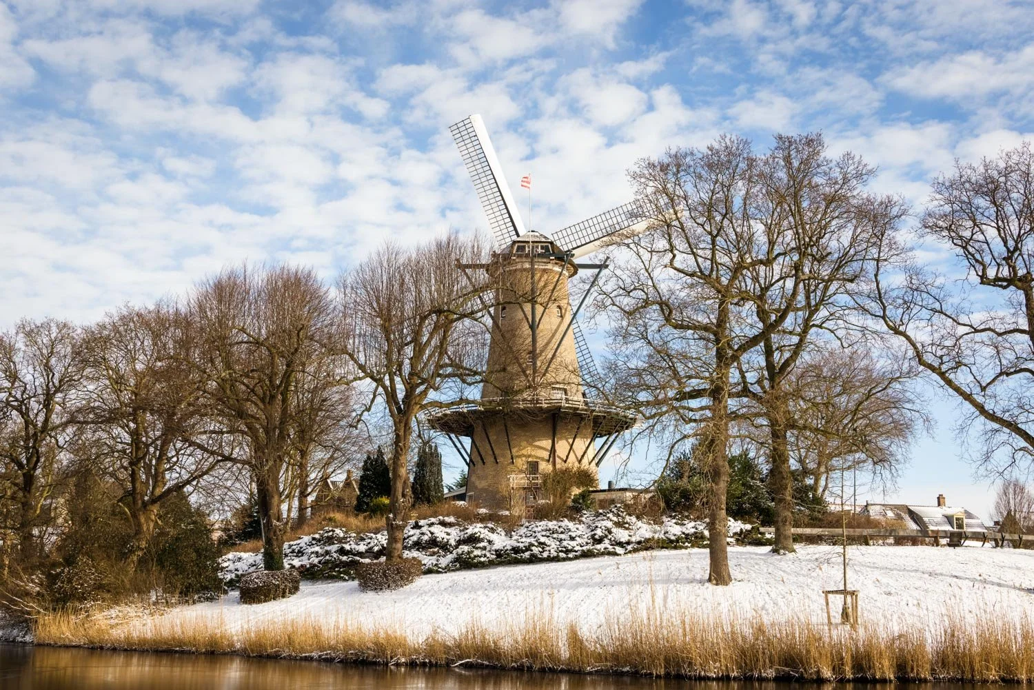 Alkmaar - Molen van Piet winter (1 van 1).jpg