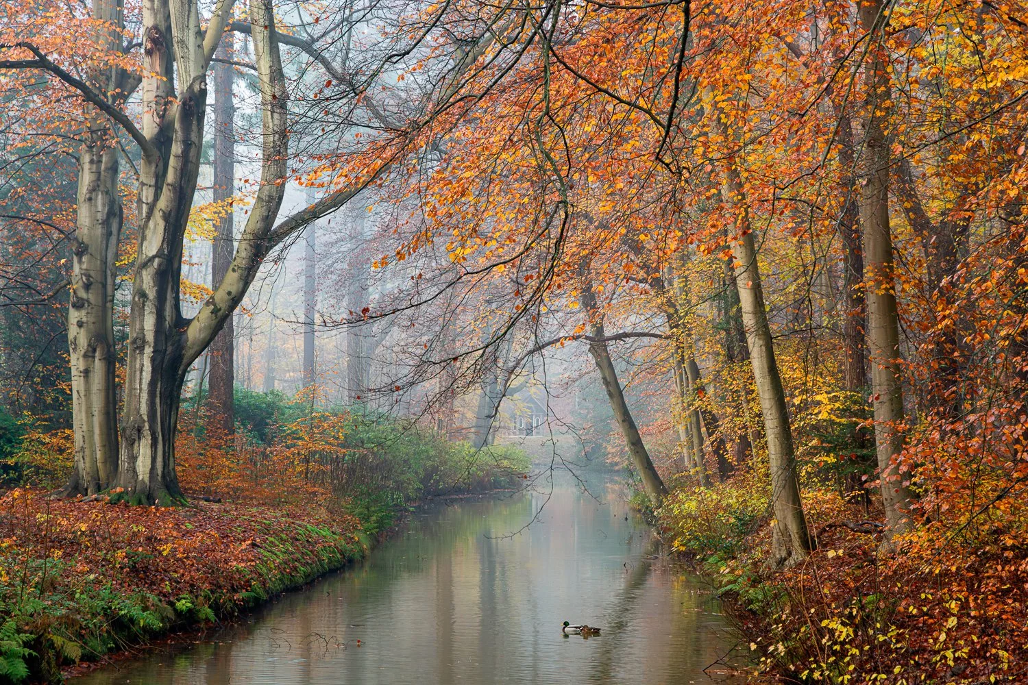 Elswout, Overveen.jpg