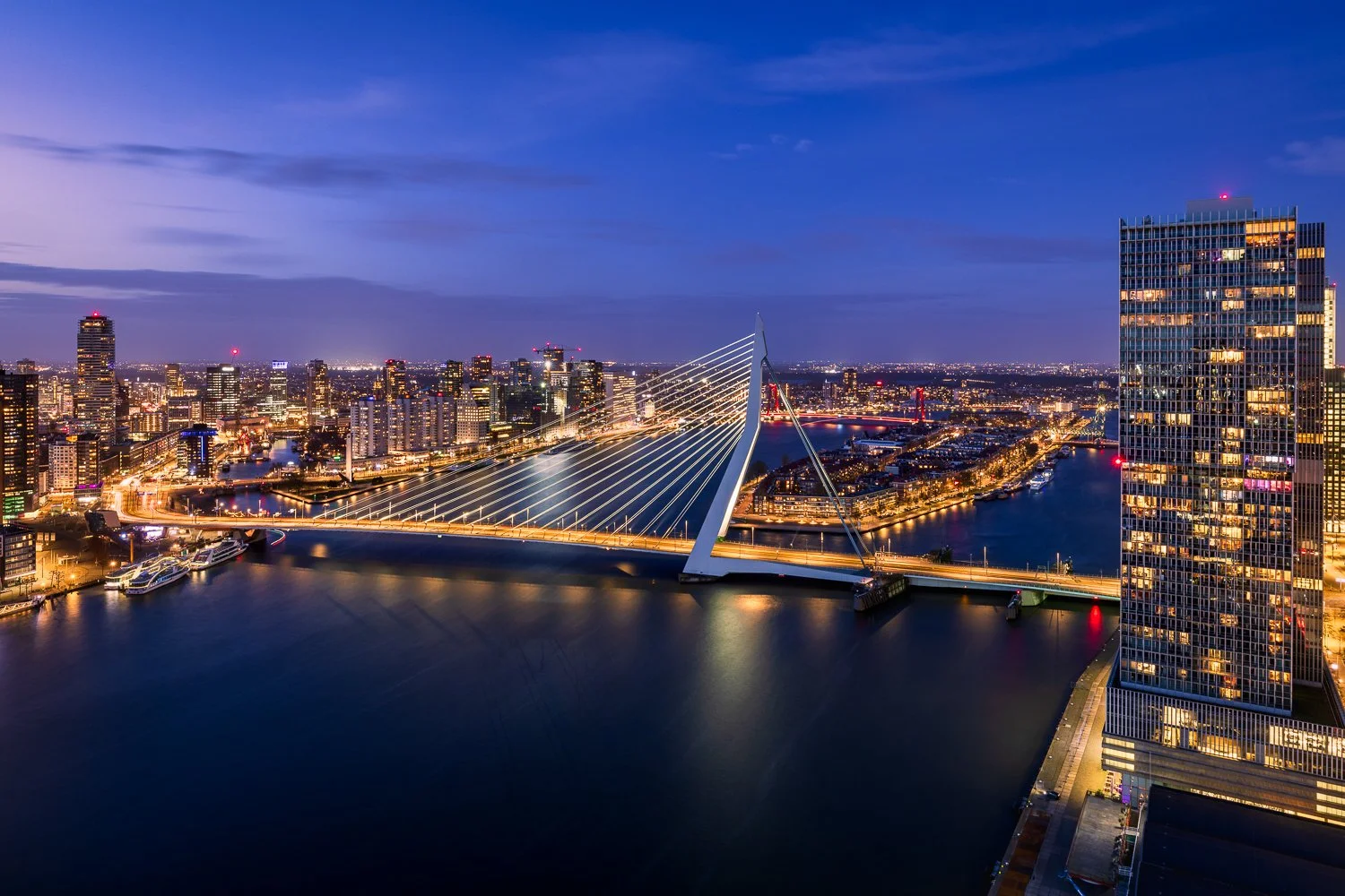 Rotterdam - Erasmusbrug en Rotterdamtoren.jpg