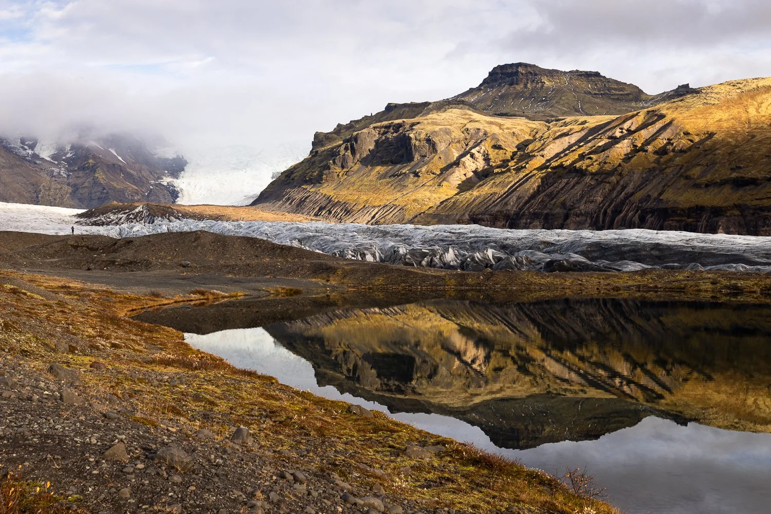 Svínafellsjökull gletsjer.jpg