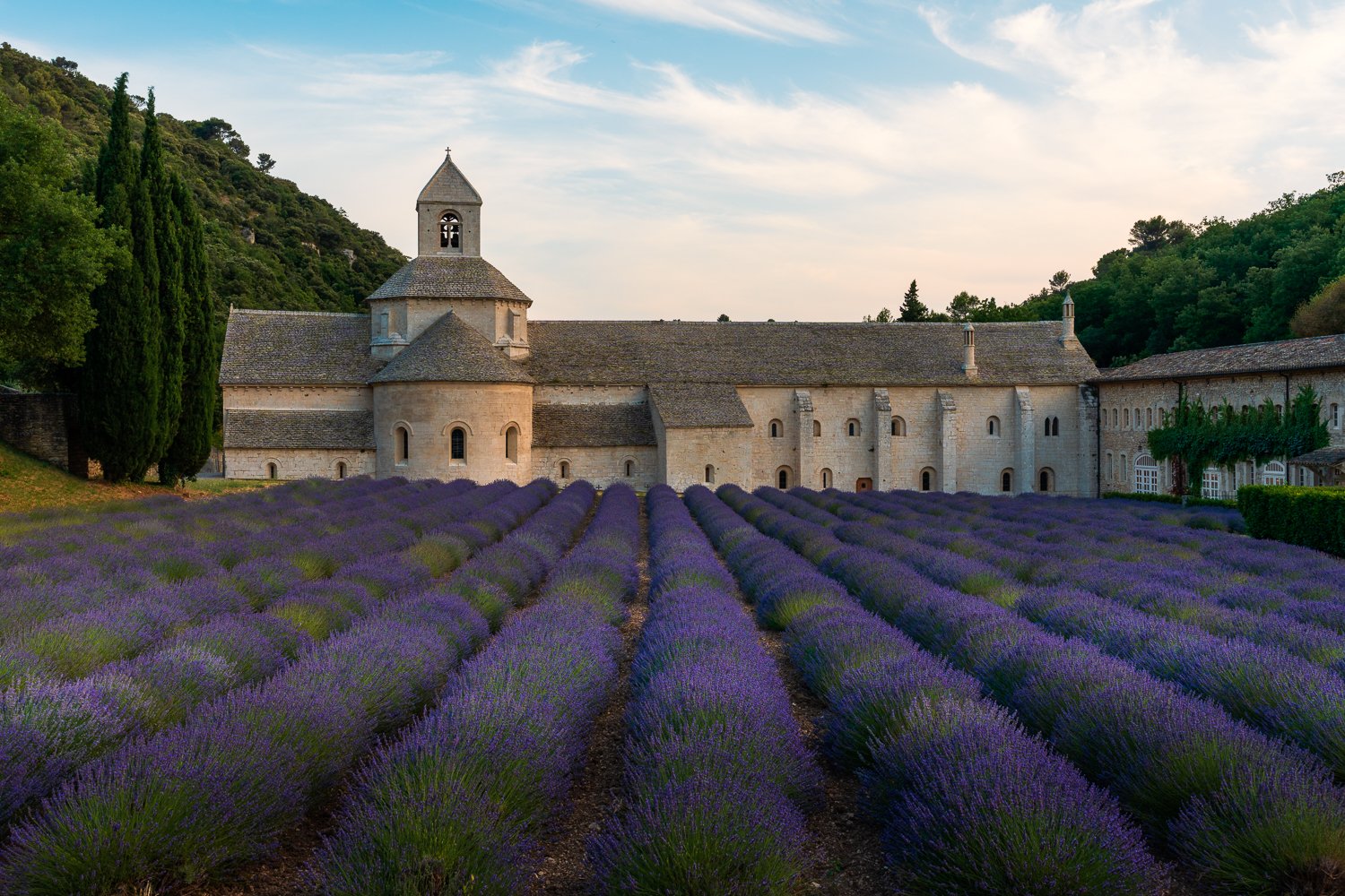 Abbaye de Senanque.jpg