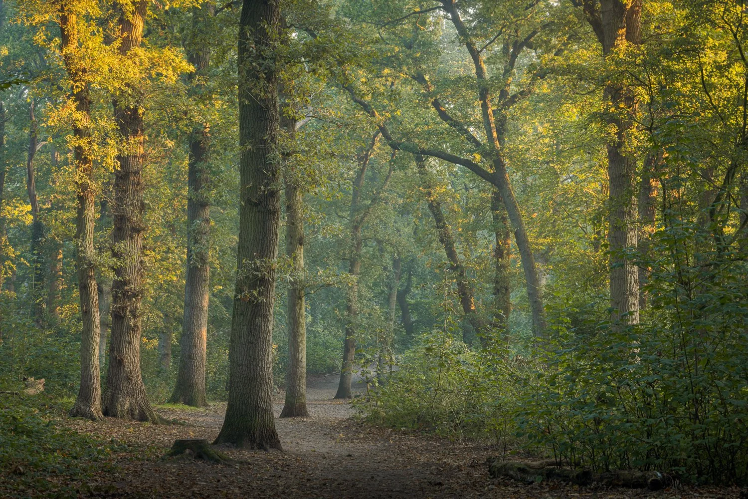 Heemstede - Groenendaal.jpg