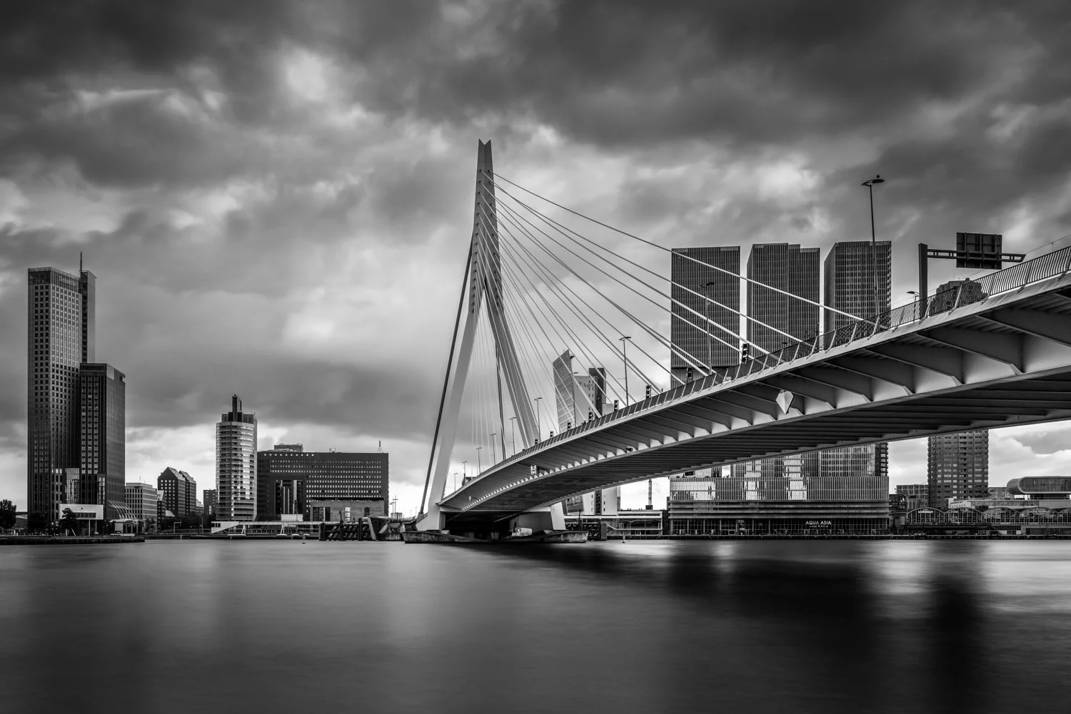 Rotterdam - Erasmusbrug.jpg