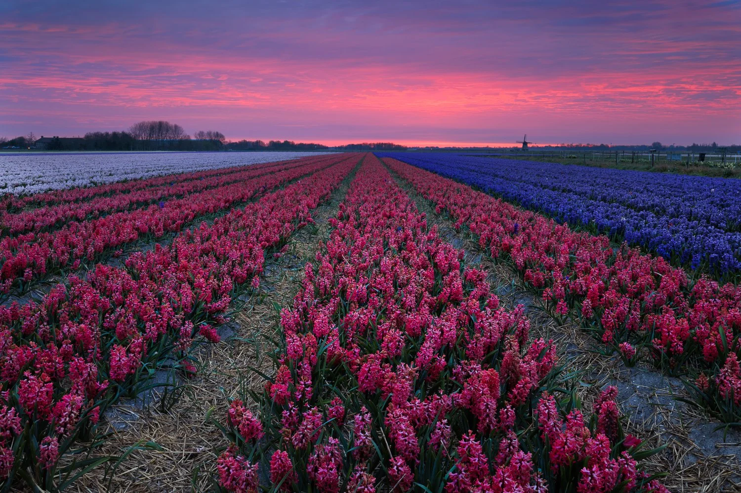 Egmond aan den Hoef.jpg
