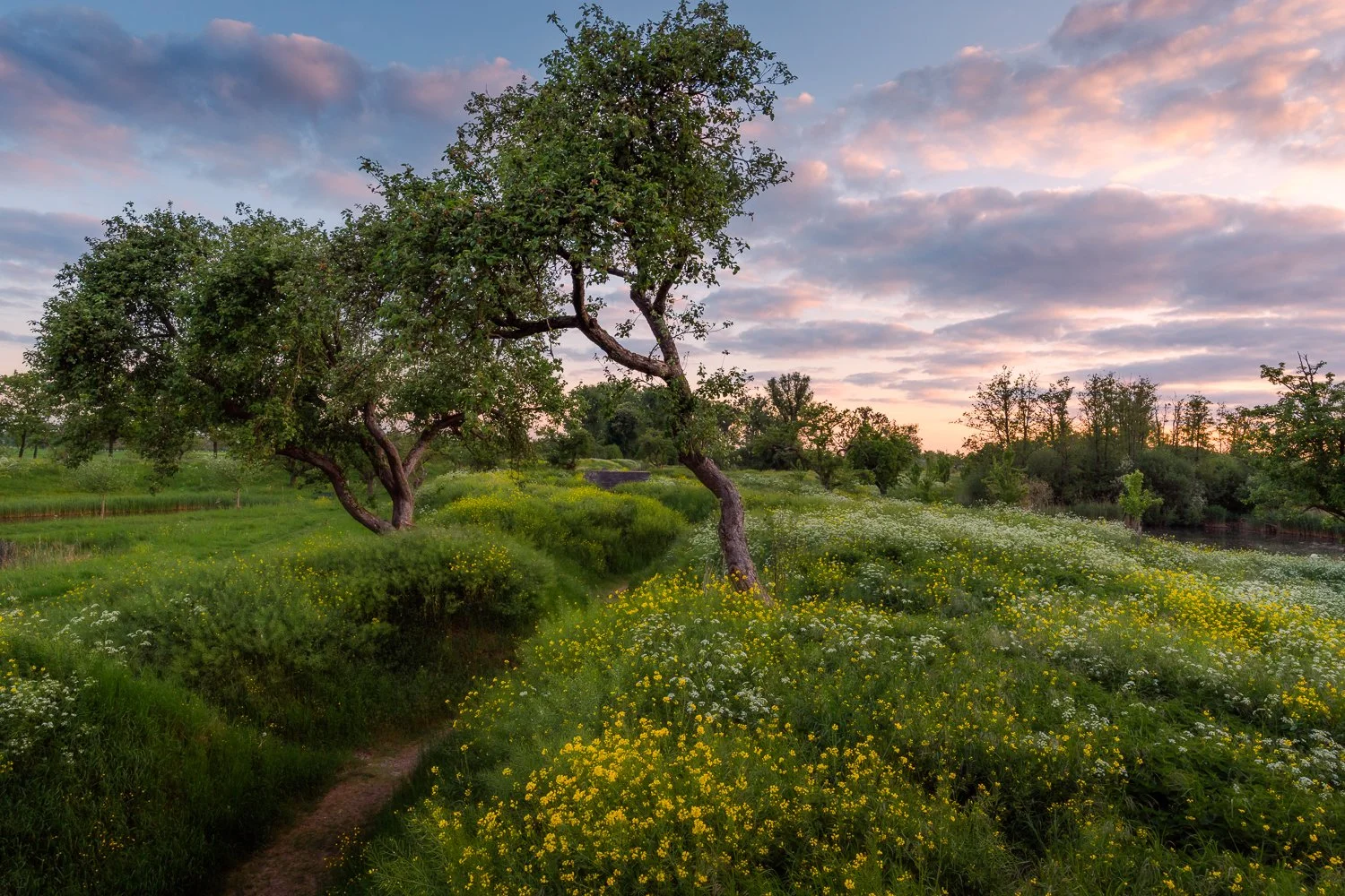 Werk aan de Groeneweg.jpg