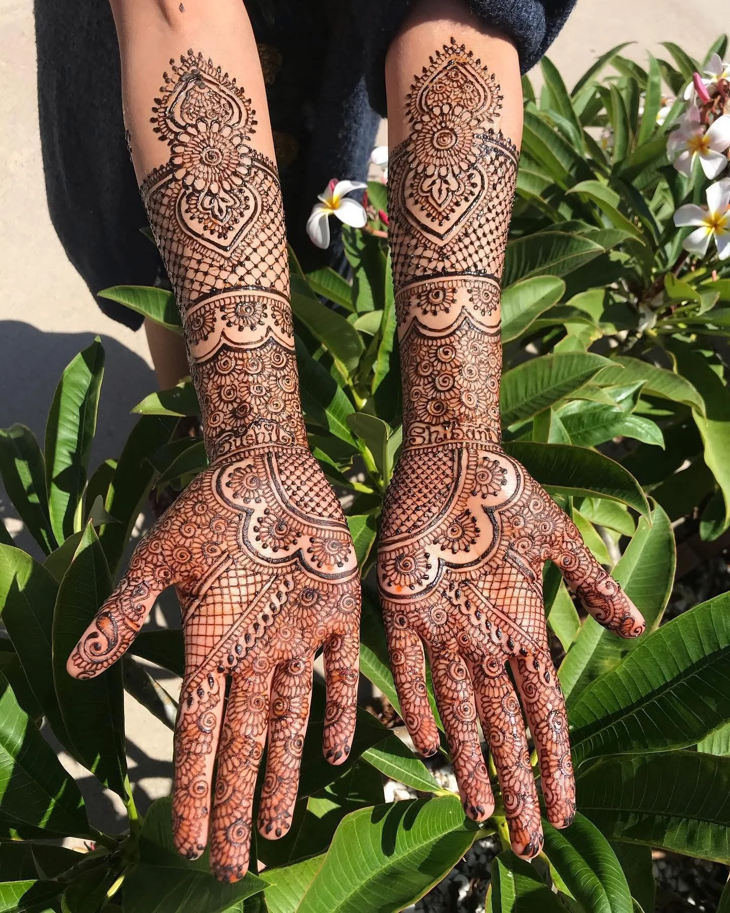 Hands decorated with intricate henna designs resting on green foliage.