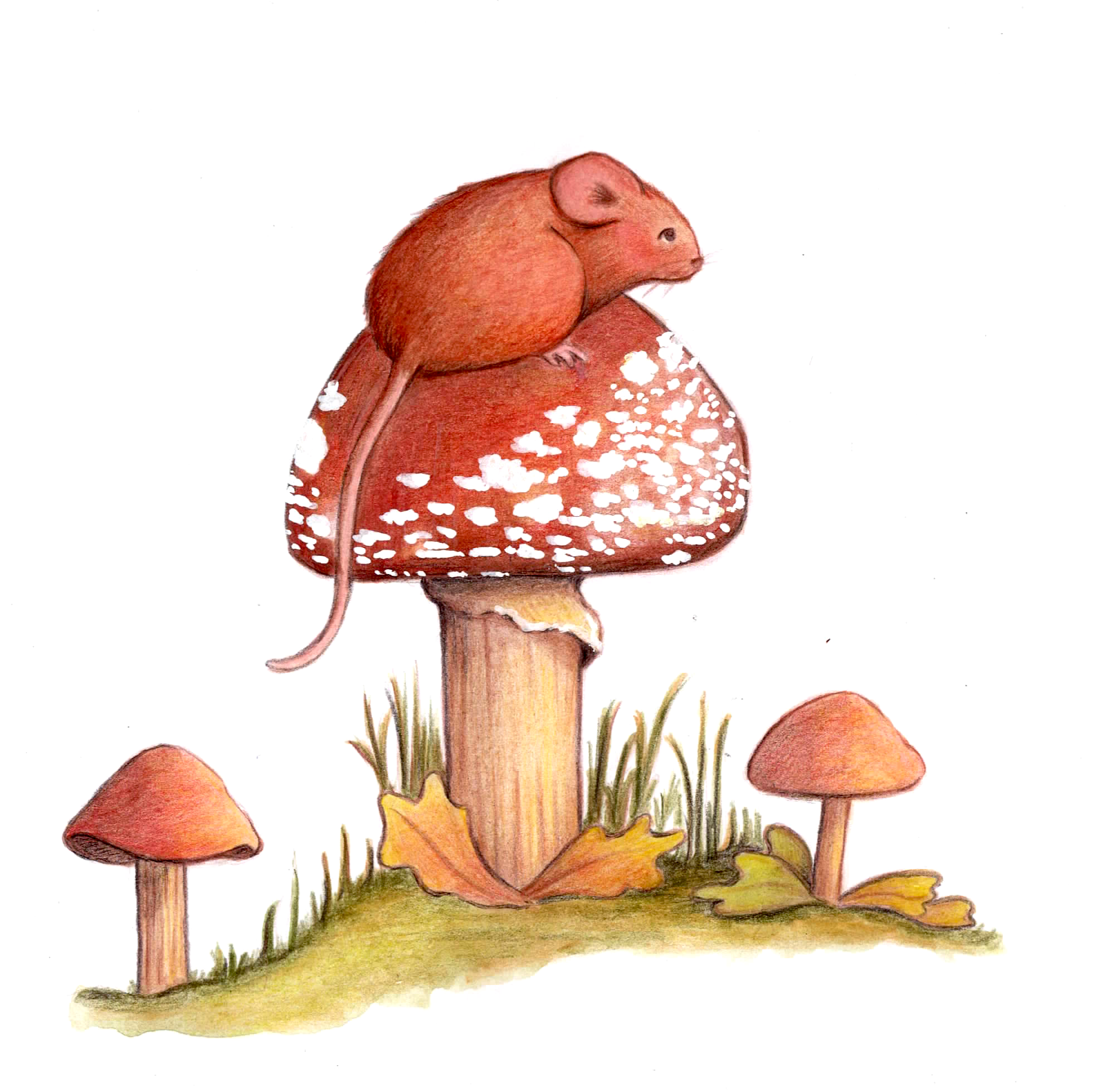 Mouse.png