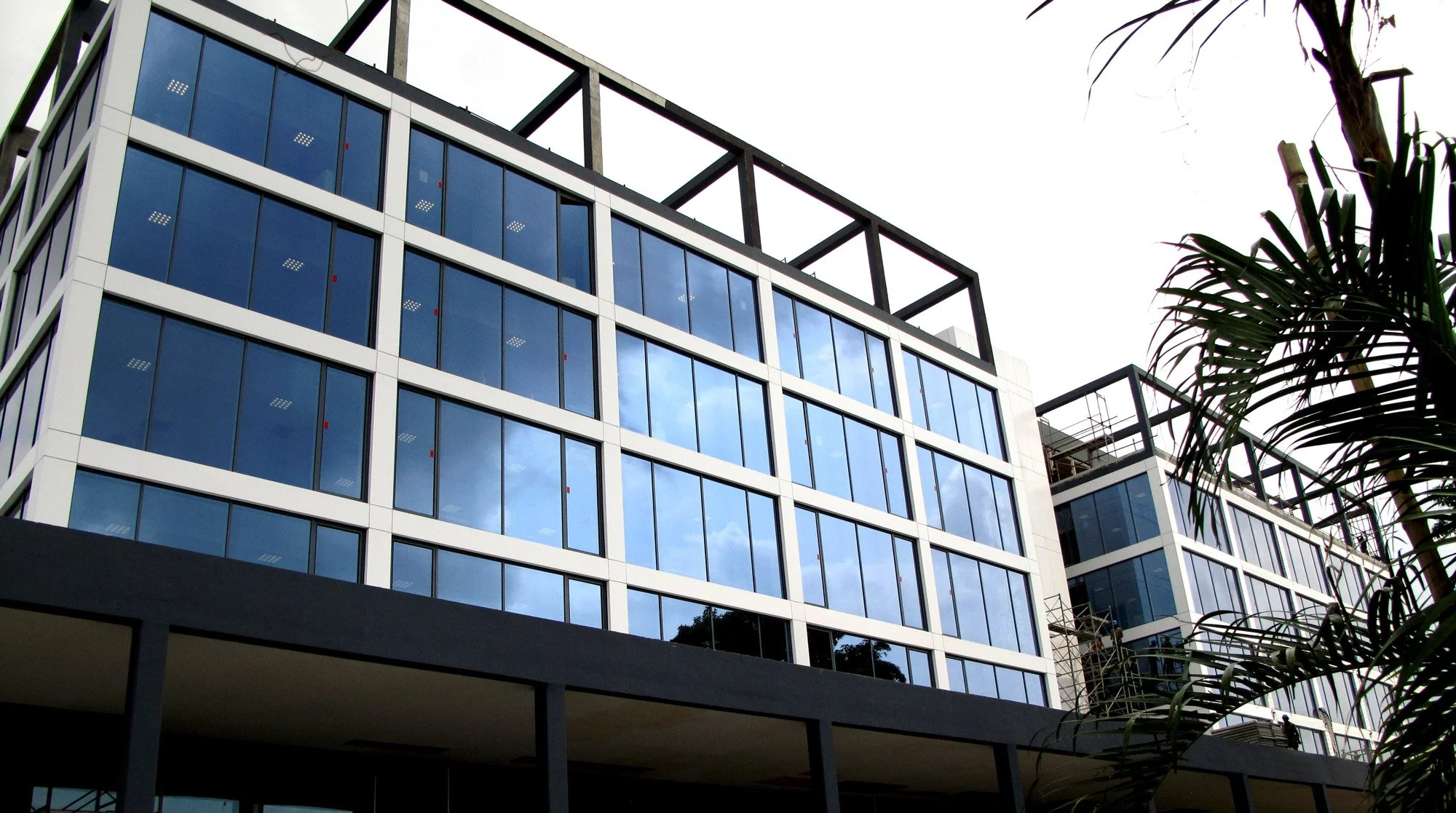 Bâtiment moderne à plusieurs étages avec de grandes fenêtres en verre reflétant le ciel bleu, construction en cours avec des échafaudages et une plante en premier plan.