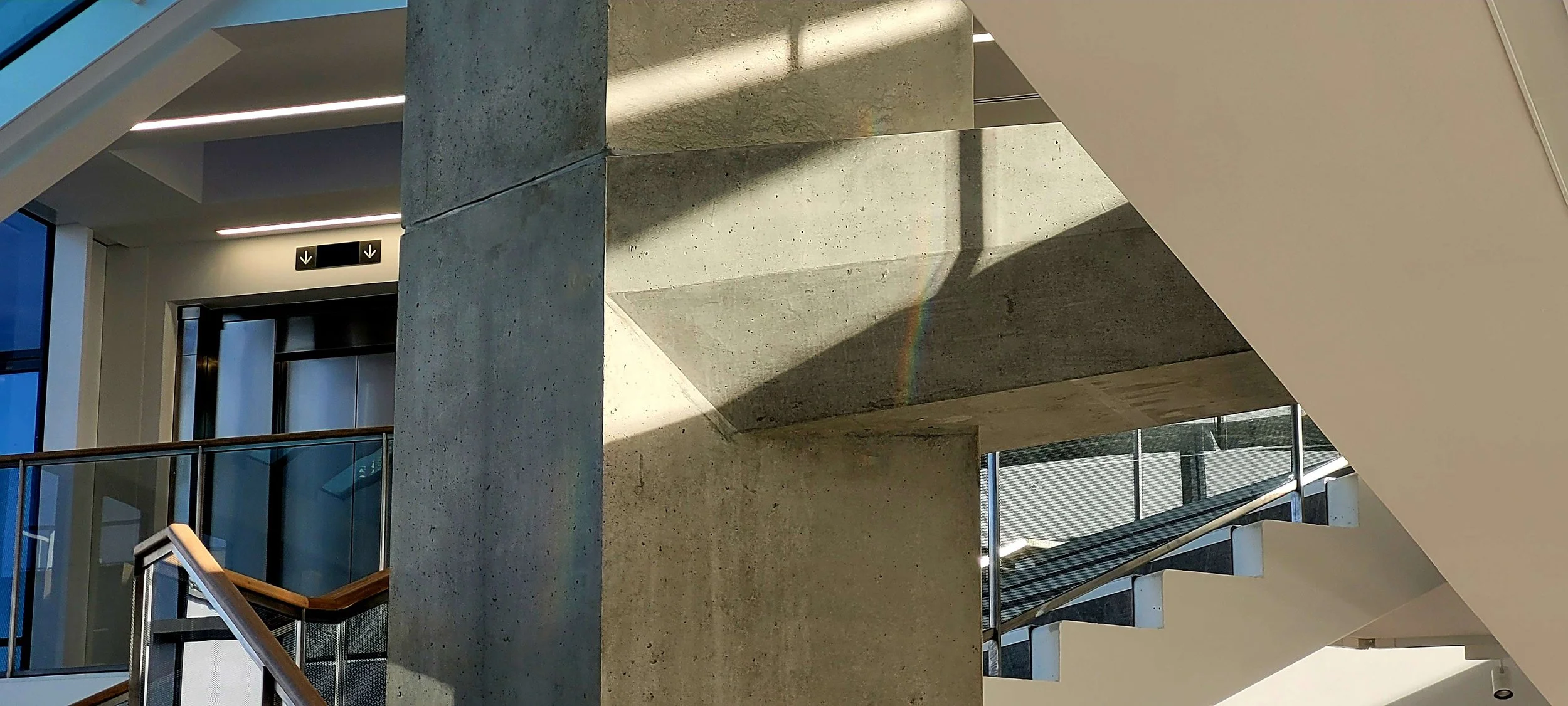 Intérieur moderne d'un bâtiment avec escalier en béton, rampe en métal, murs en verre, et lumière naturelle.