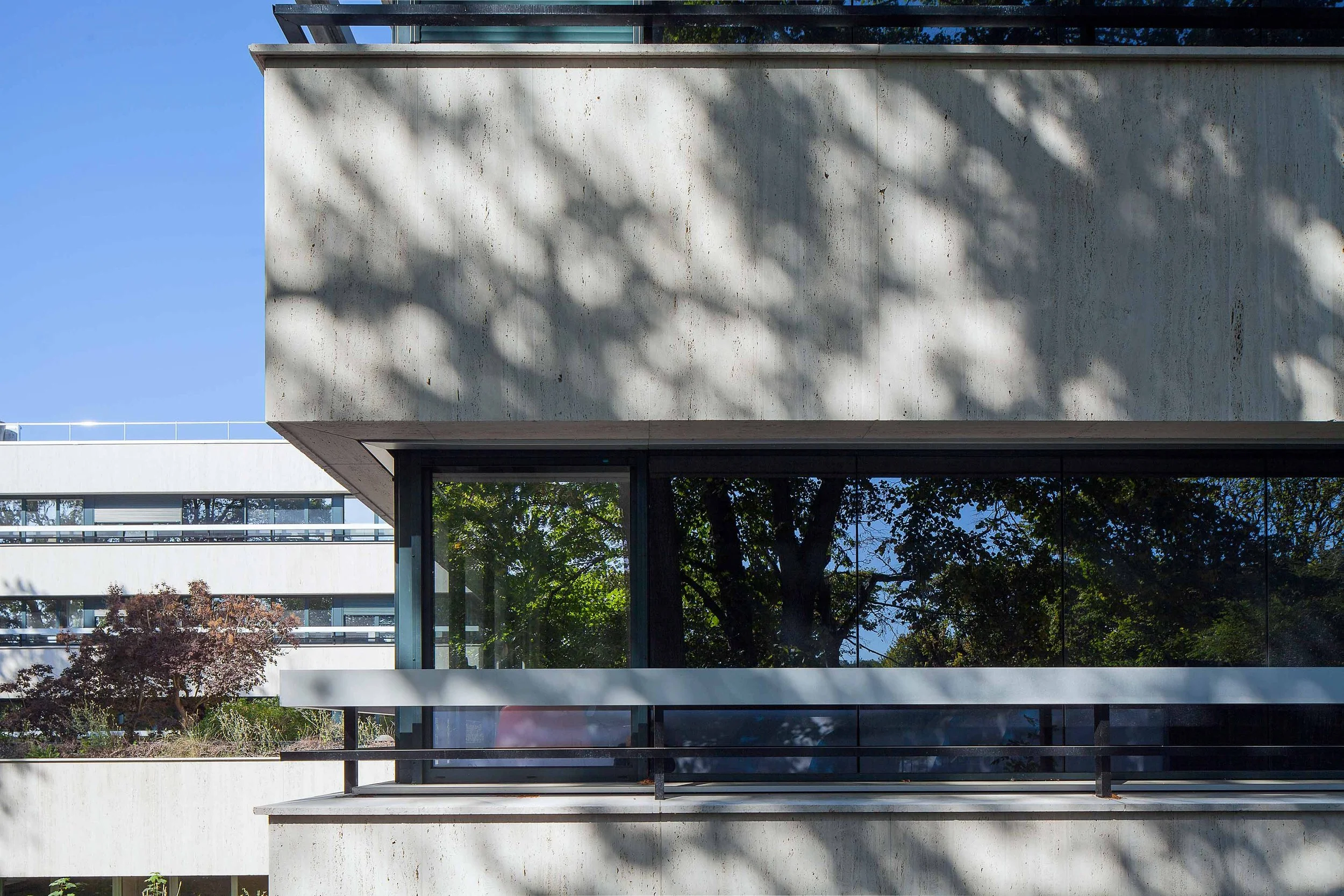 Bâtiment moderne avec une grande fenêtre en verre, ombragé par des branches d'arbre, sous un ciel bleu clair.