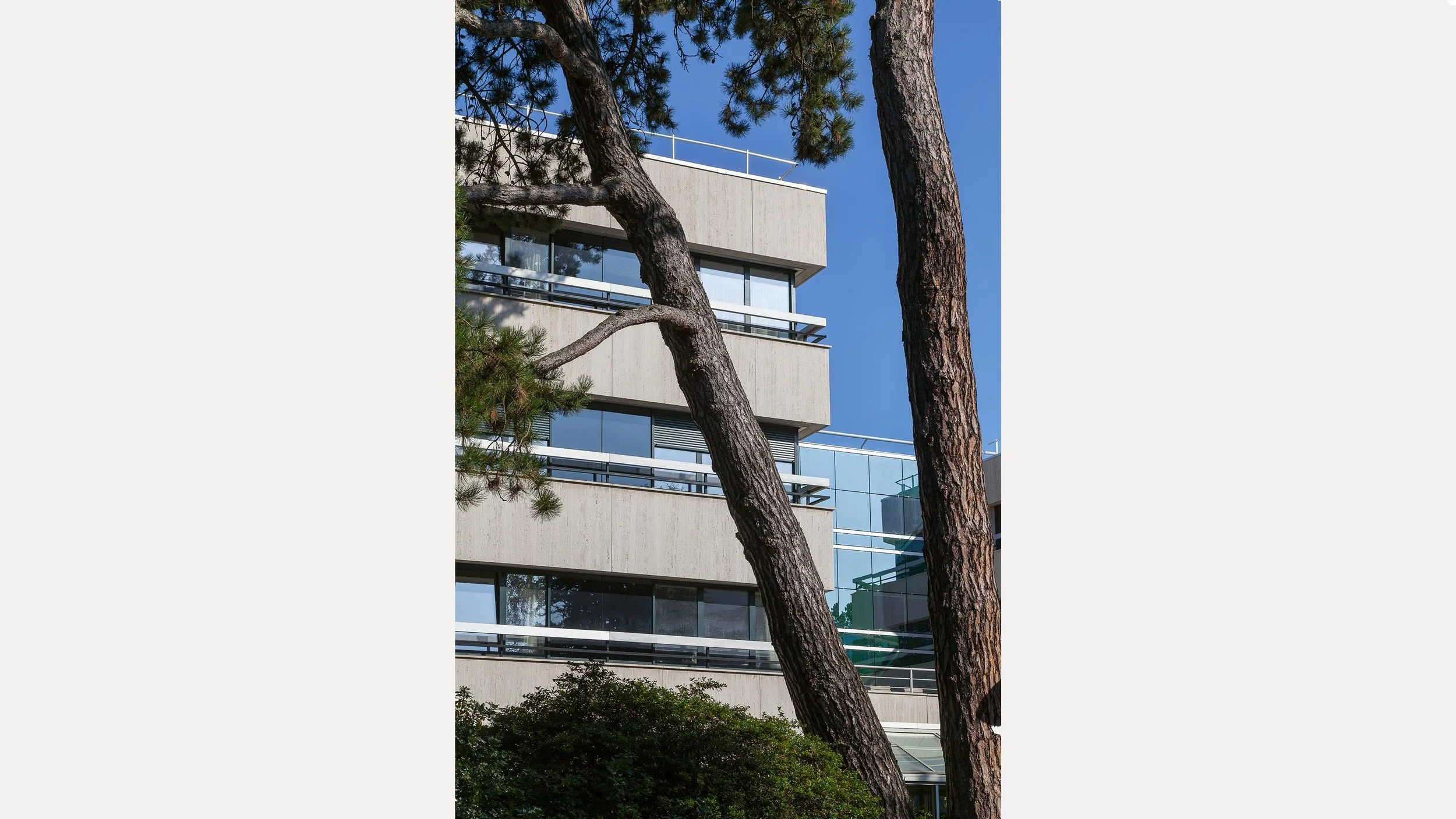 Immeuble moderne avec de larges baies vitrées et balcons, vu à travers des arbres, sous un ciel bleu.