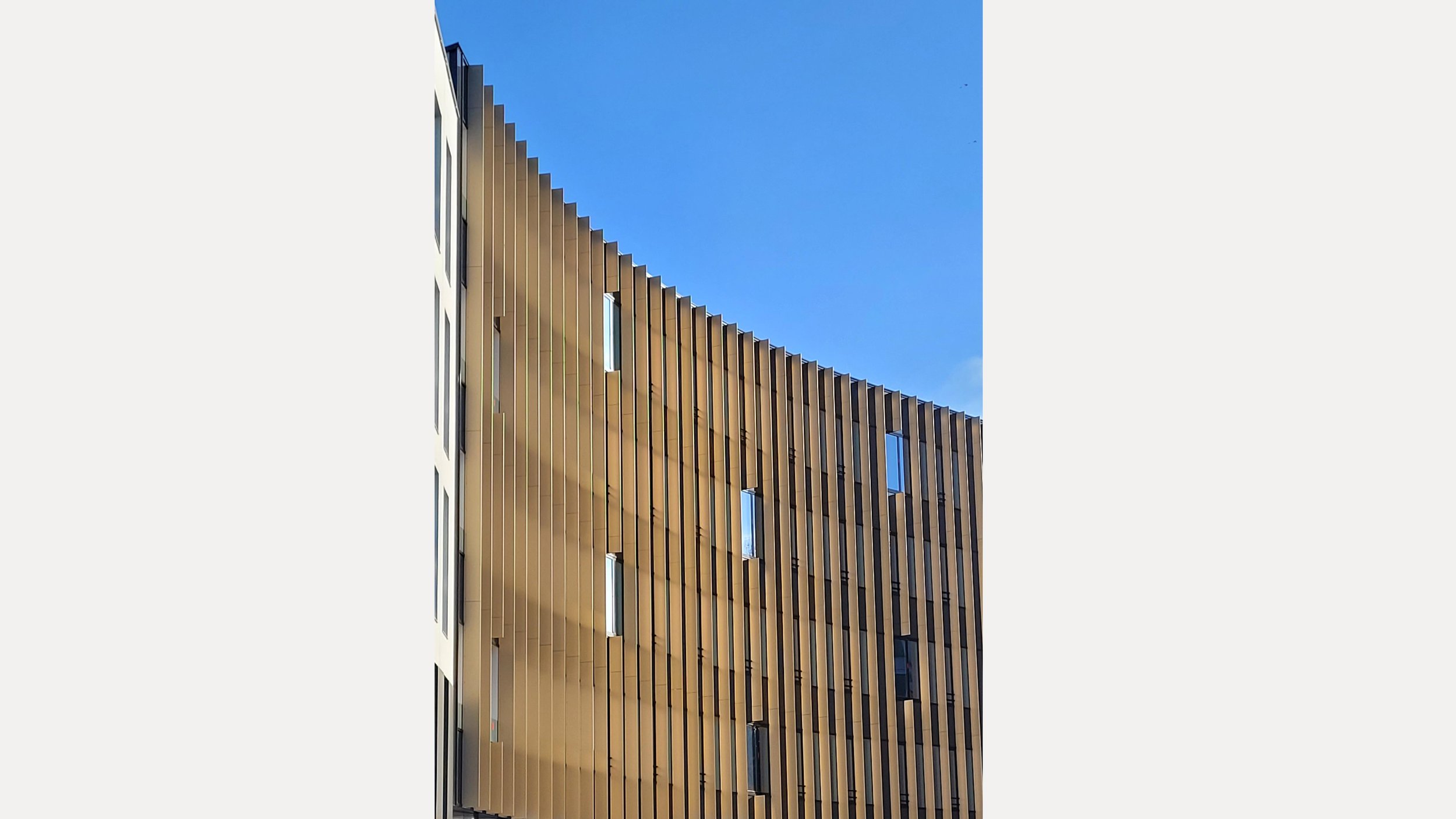 Un bâtiment moderne avec une façade en panneaux de bois verticals, des fenêtres rectangulaires, et un ciel bleu clair en arrière-plan.