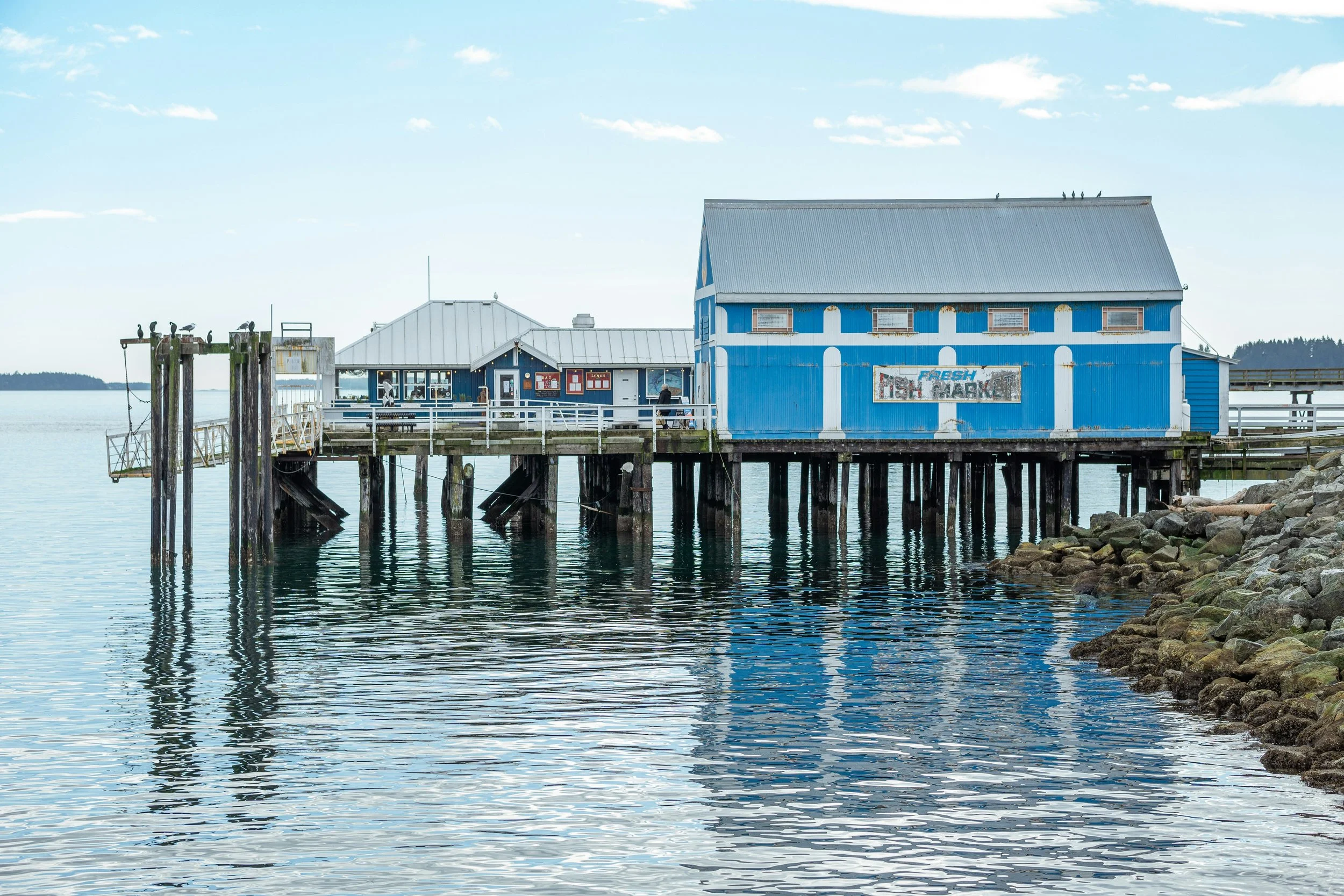 Sidney by the Sea
