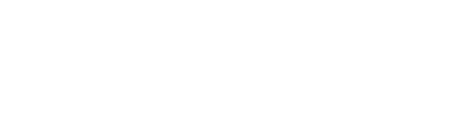 Mycelium: Connective Infrastructure