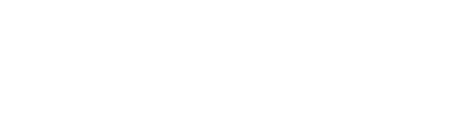 Mycelium: Connective Infrastructure