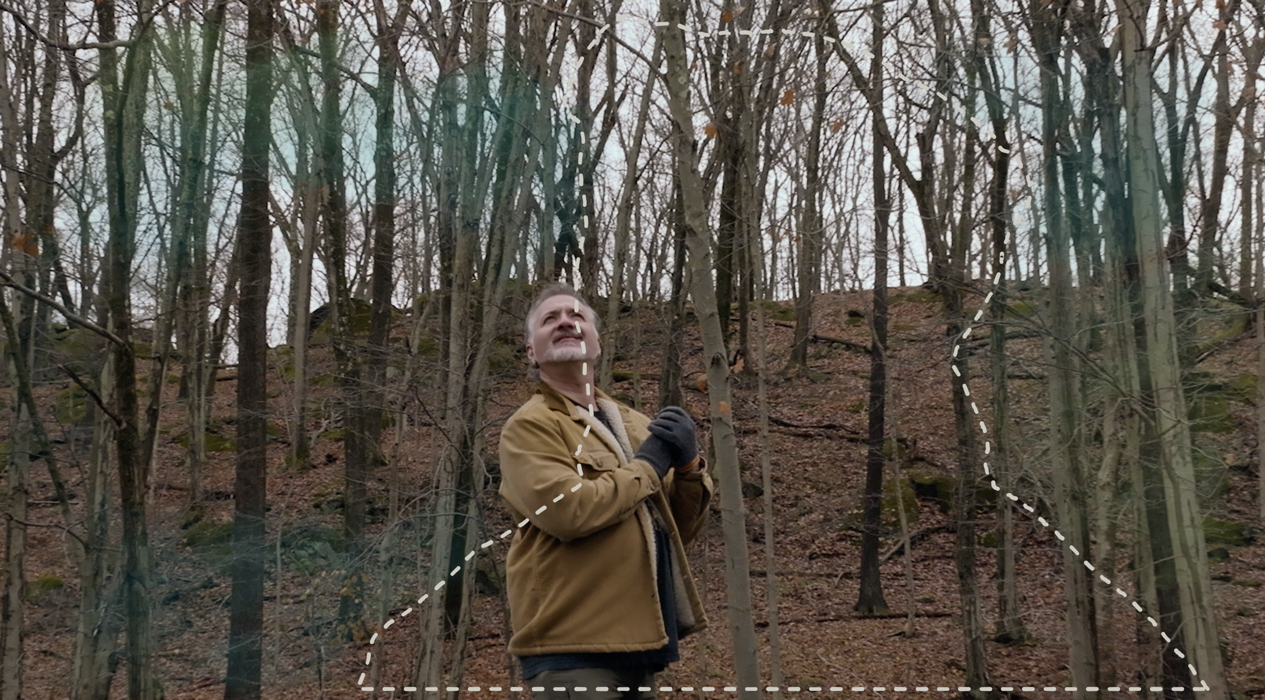 A person standing in a wooded forest during autumn, looking upward with hands clasped, with dashed lines overlayed on the image.