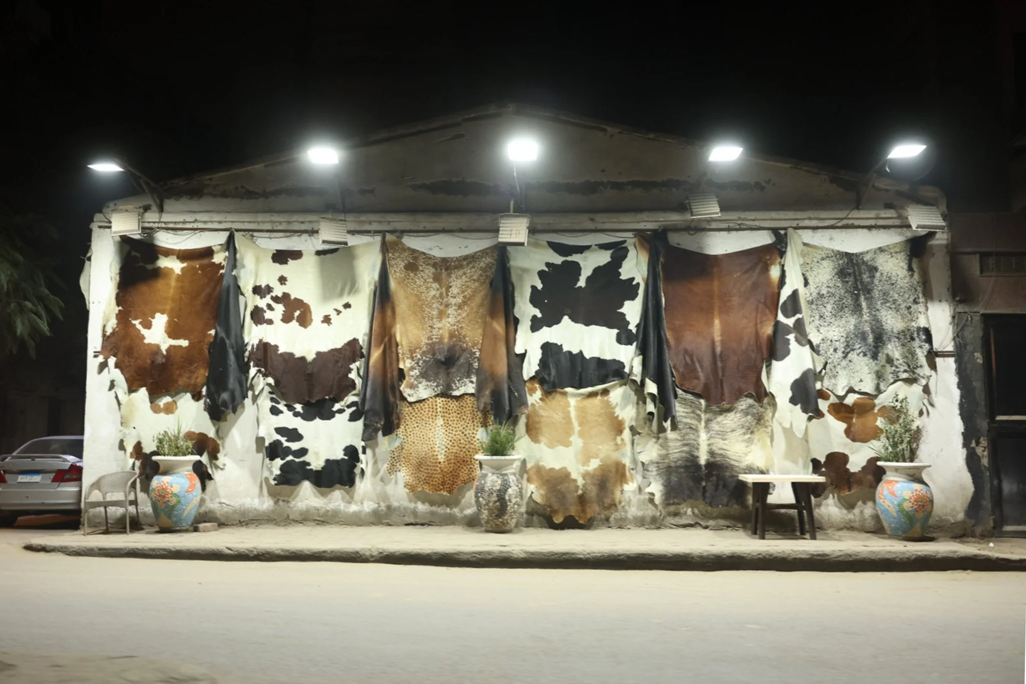 Animal hides hanging on wall of small shop illuminated at night
