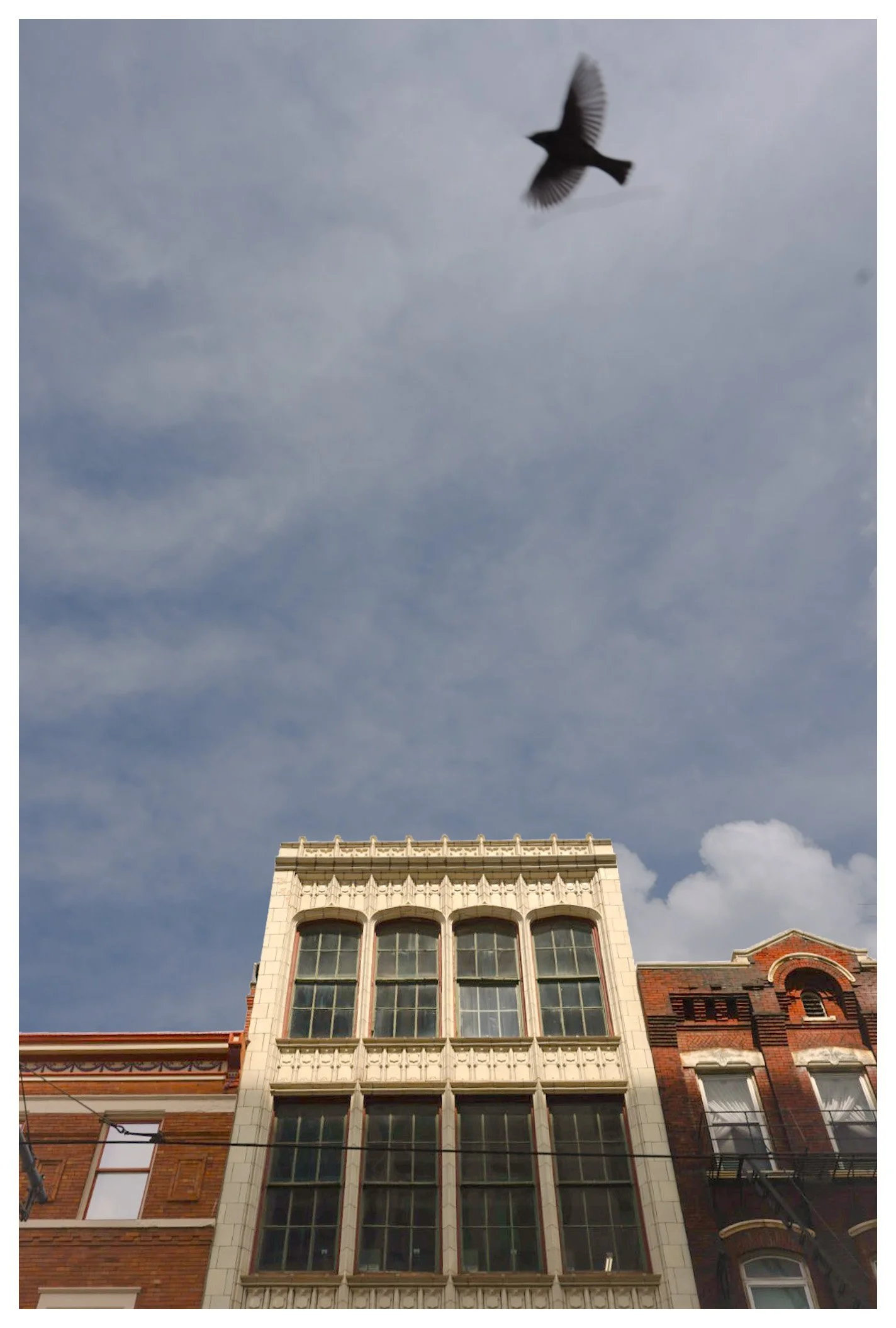 Ohio Bookstore building on Main Street in downtown Cincinnati, Ohio.