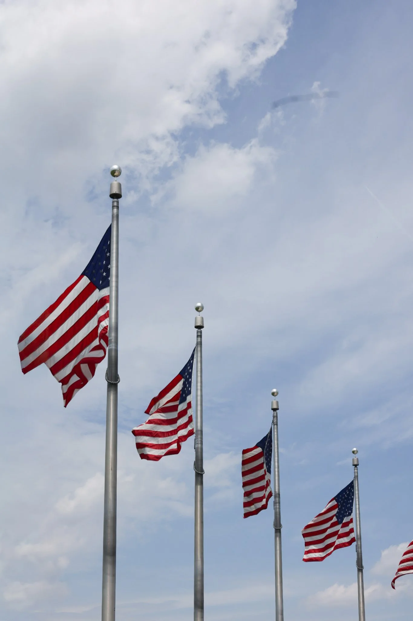American flags on poles surrounding the Washington Monument in Washington, DC.