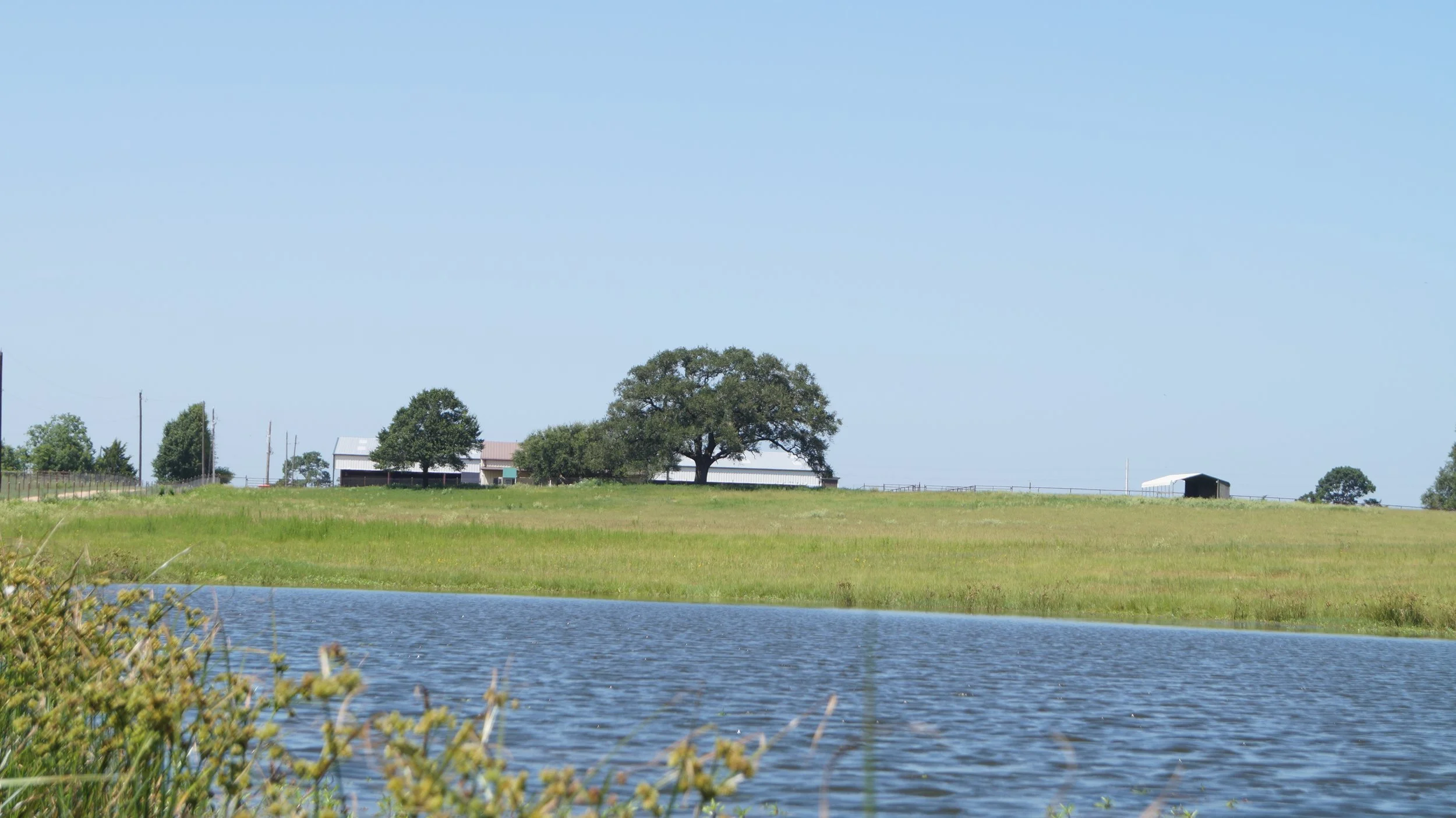 Pasture Board