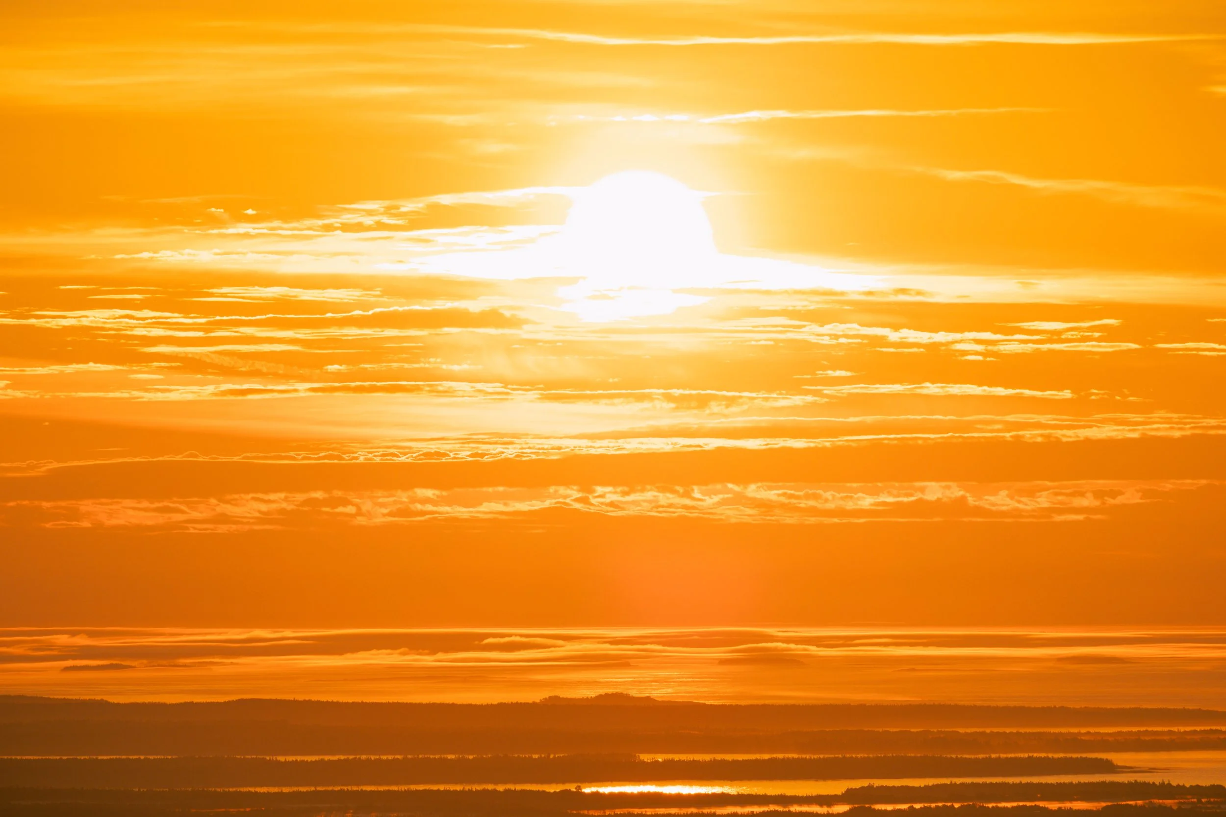 Sunrise Close Up.jpg