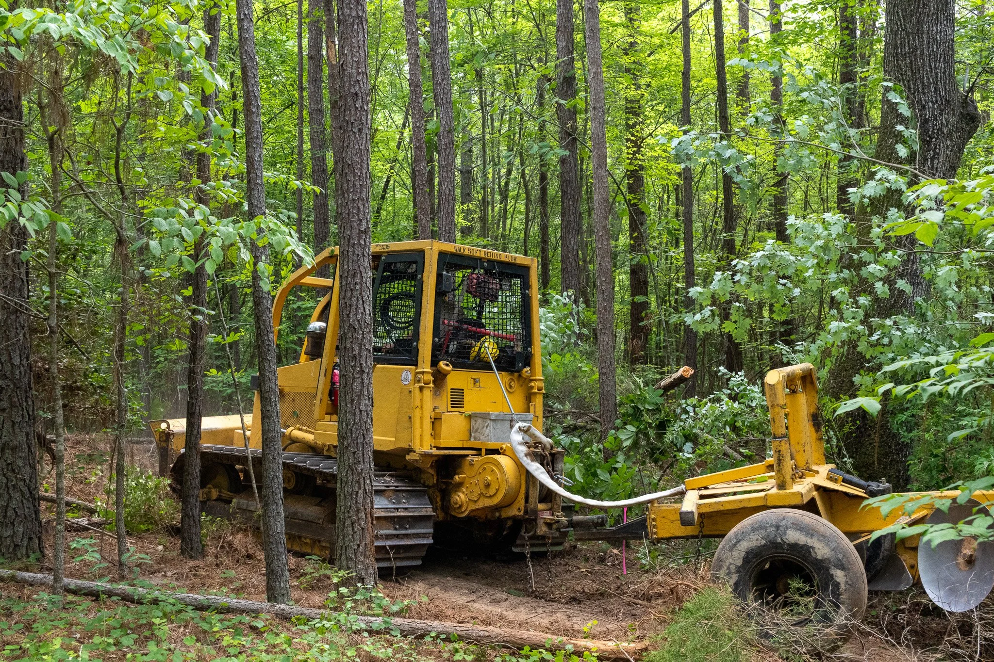 A yellow bulldozer working in a dense green forest with tall trees and thick foliage.