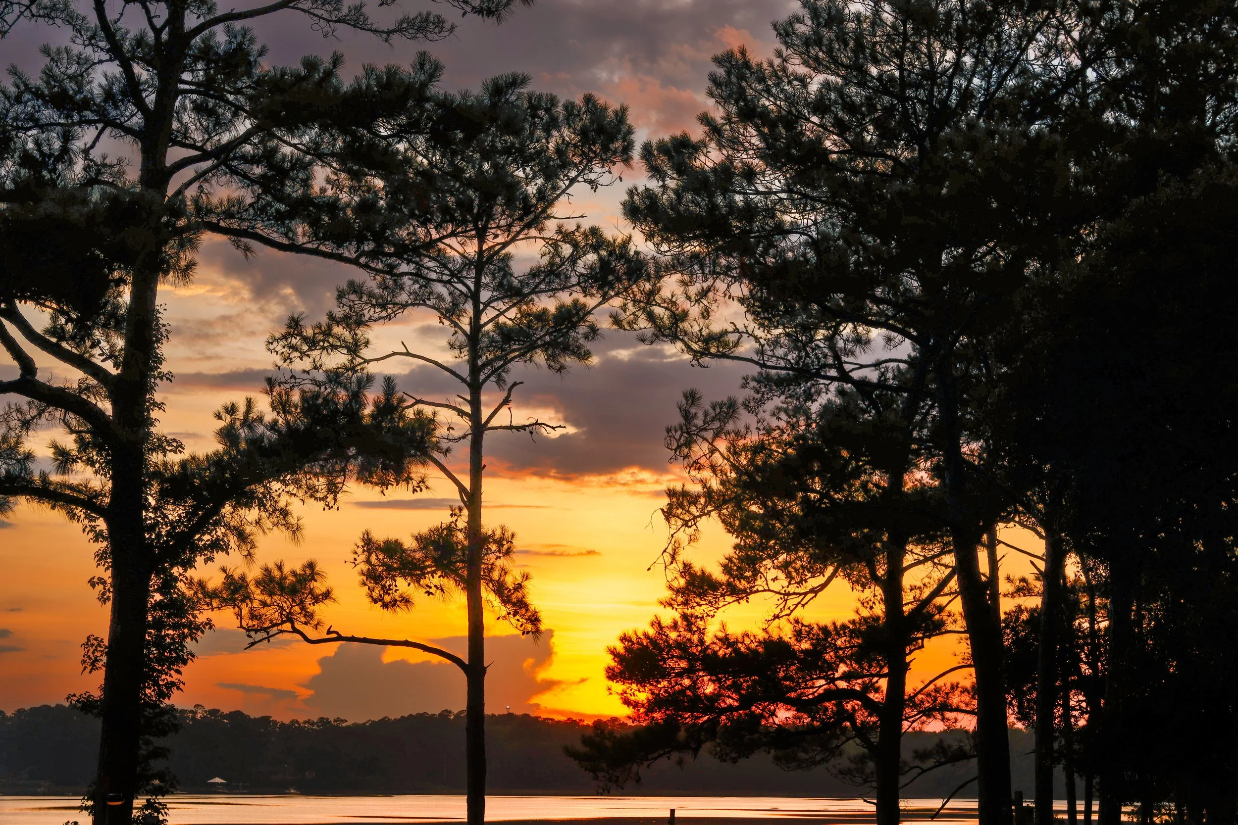 Silhouetted pine trees against a colorful sunset sky with orange, pink, purple, and blue hues over a body of water.