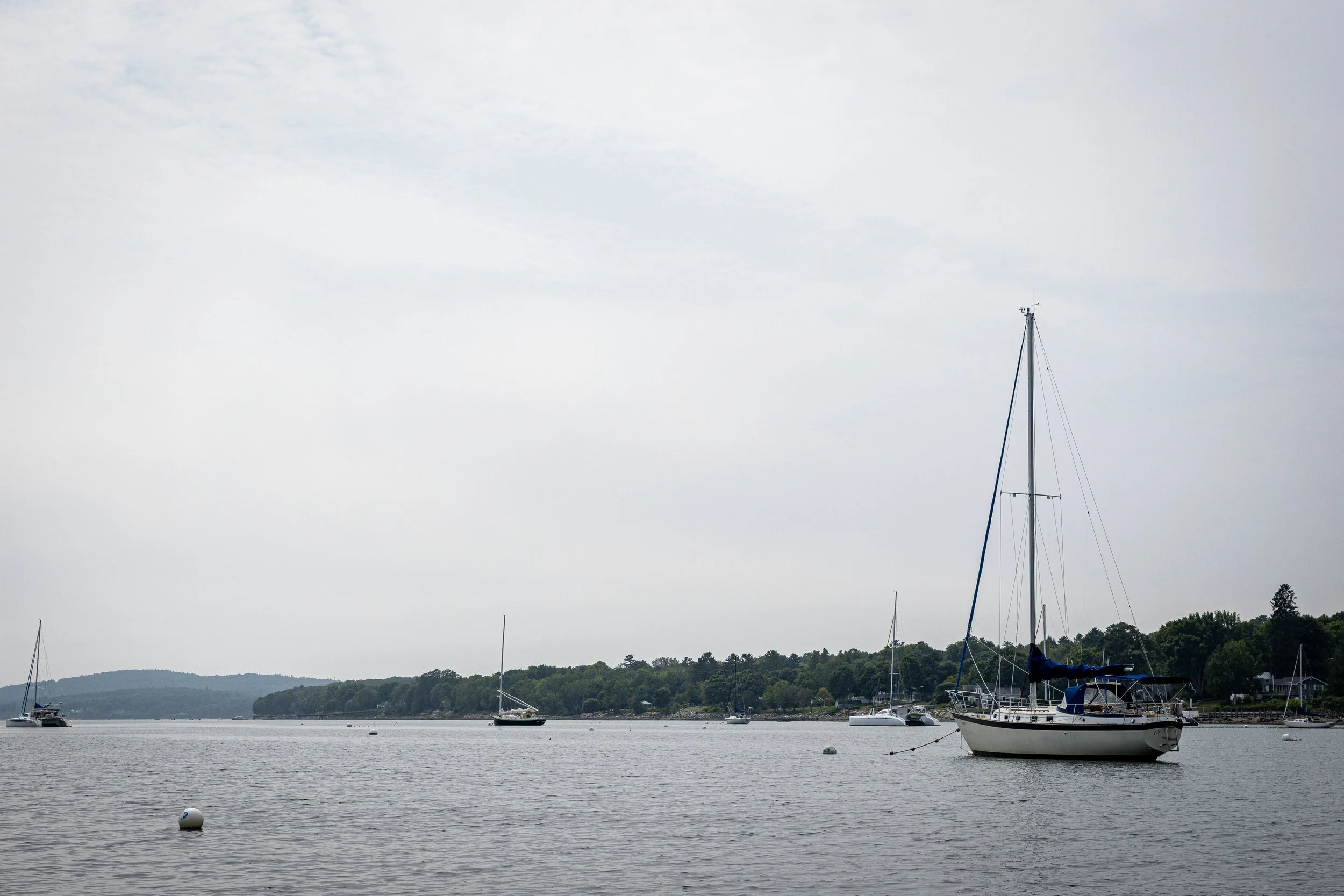 Sail Boat.jpg