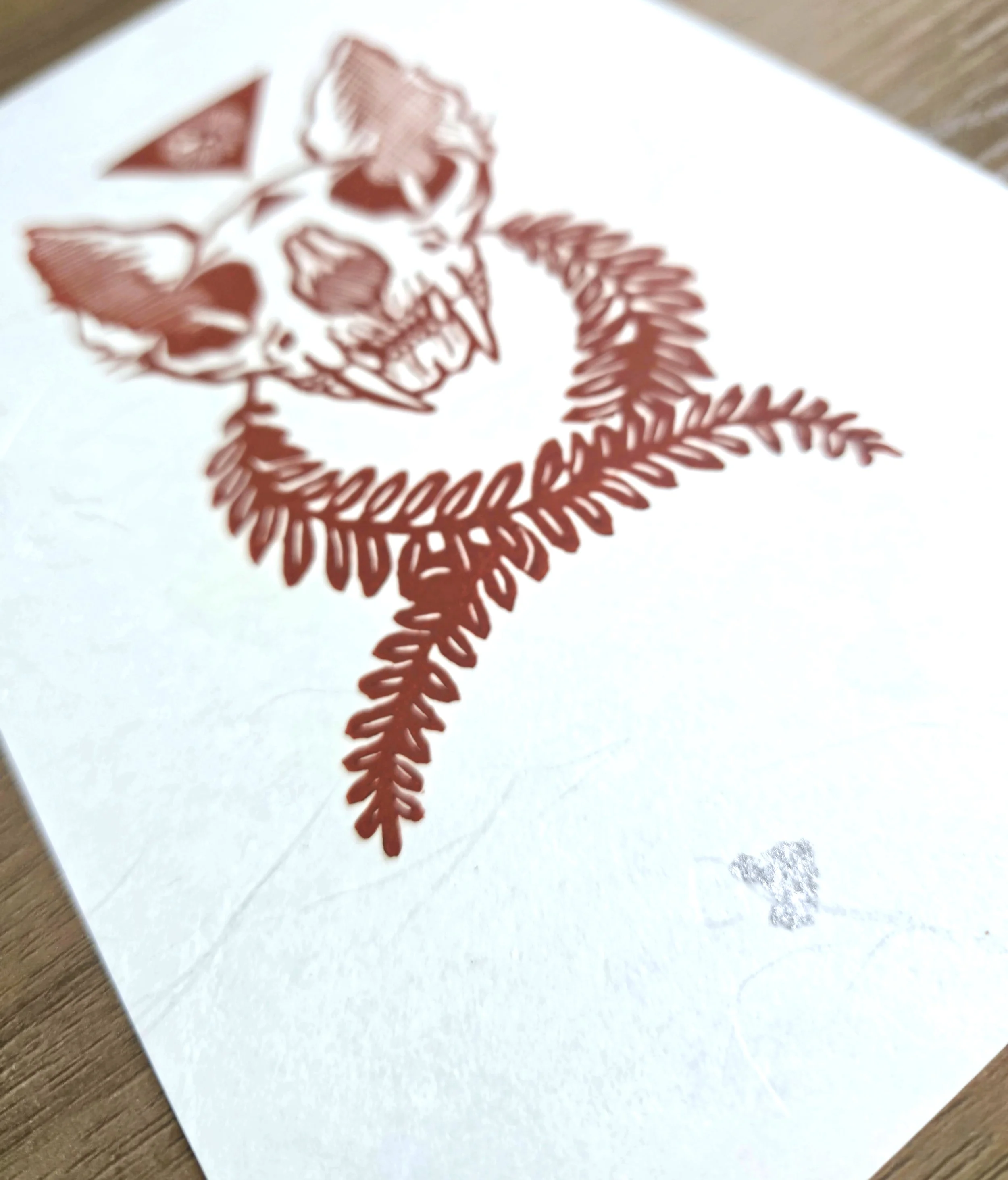 20260628_171645.jpg