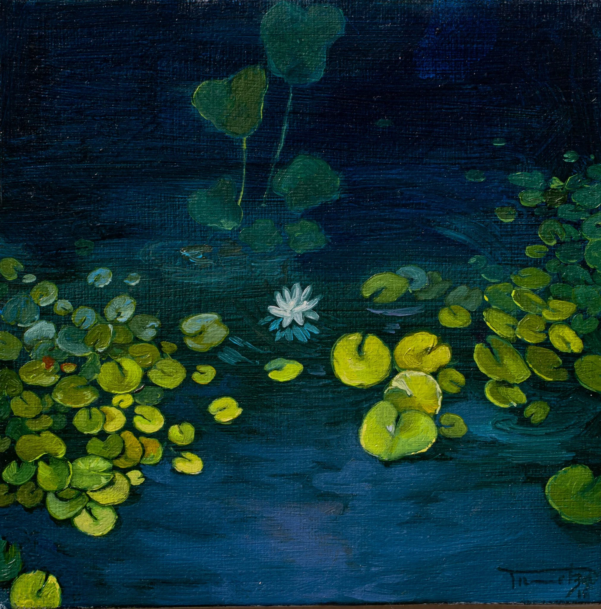 Close-up of a dark blue wooden surface with green leaves and a white flower painted or painted on it.