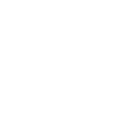 Video call icon - discovery call