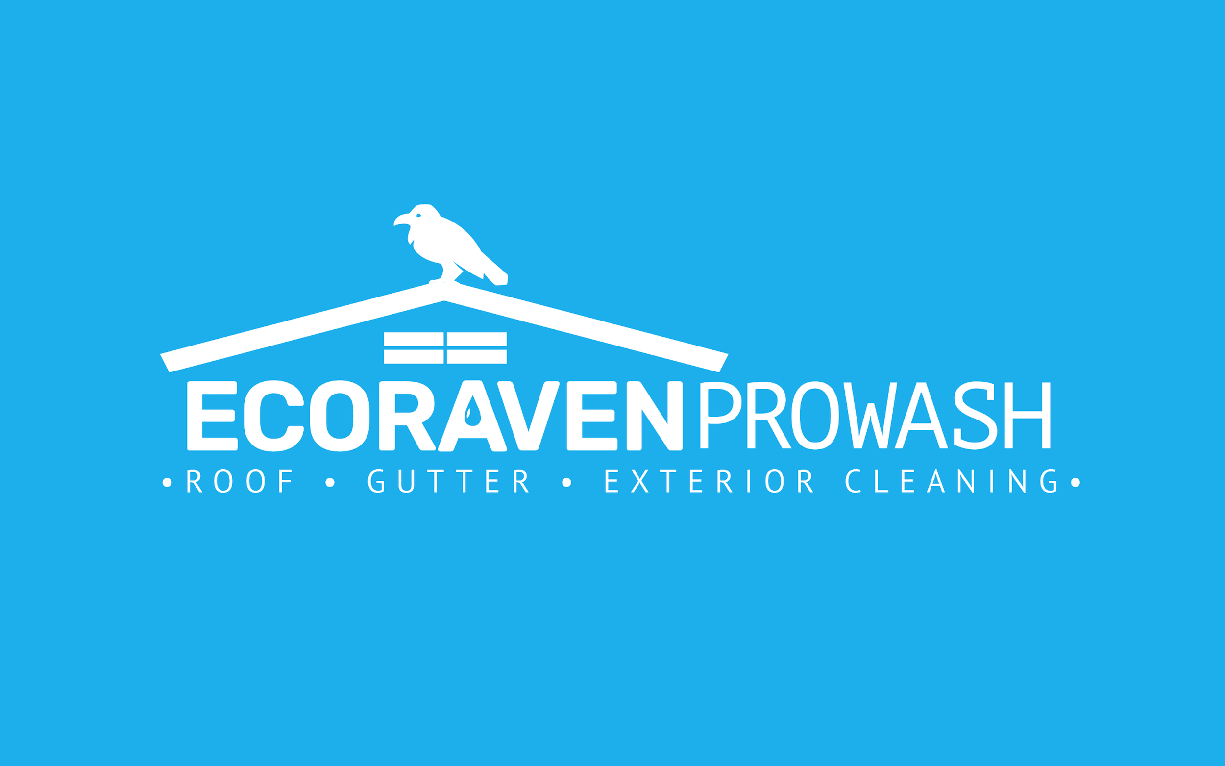 EcoRaven ProWash