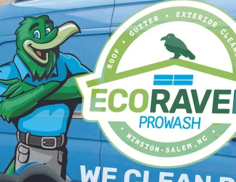 EcoRaven ProWash