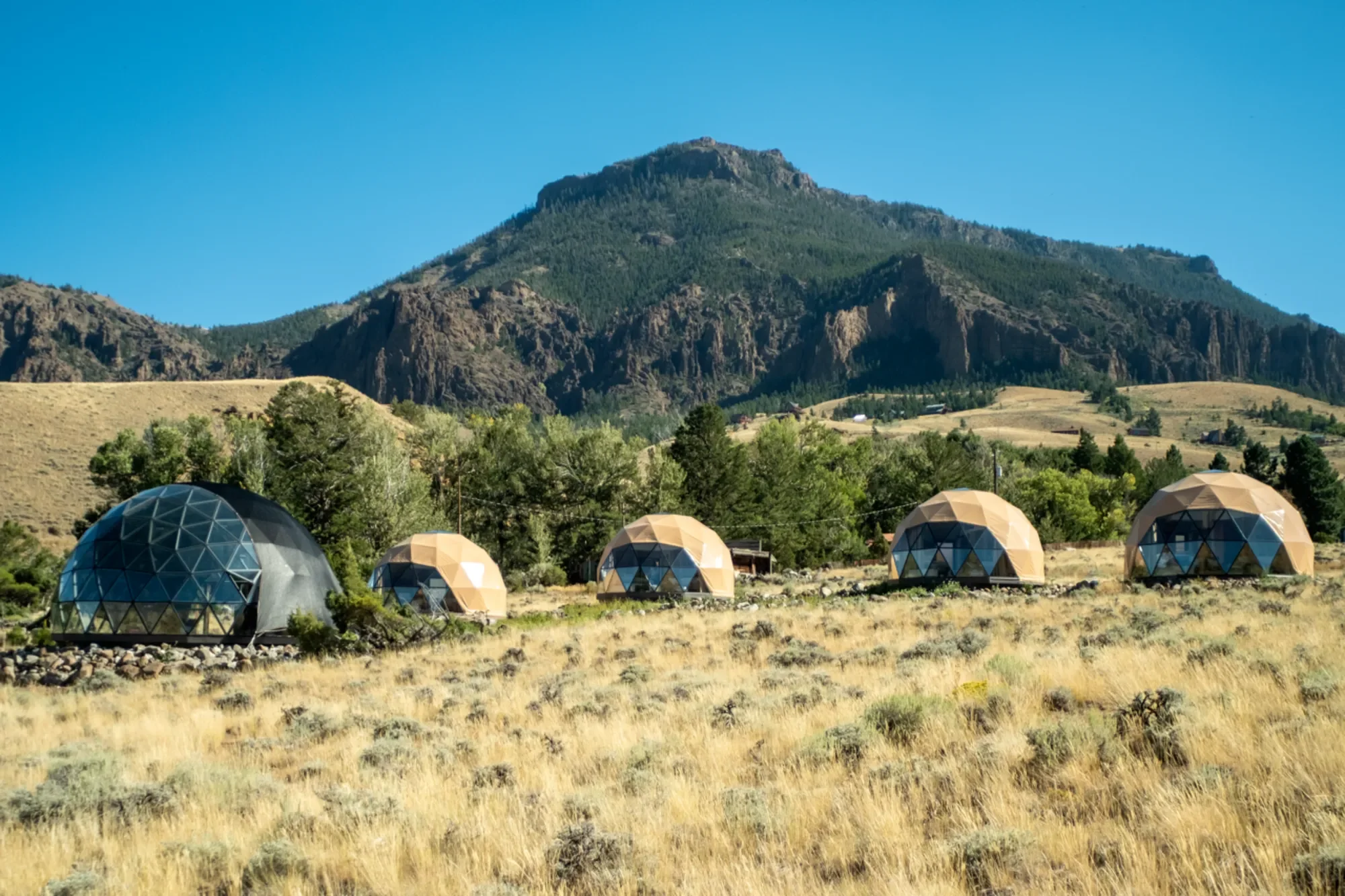Five geodesic dome structures in a grassy field with mountains in the background under a clear blue sky. Located at Pure Heart Retreat in Wapiti Valley, Wyoming.