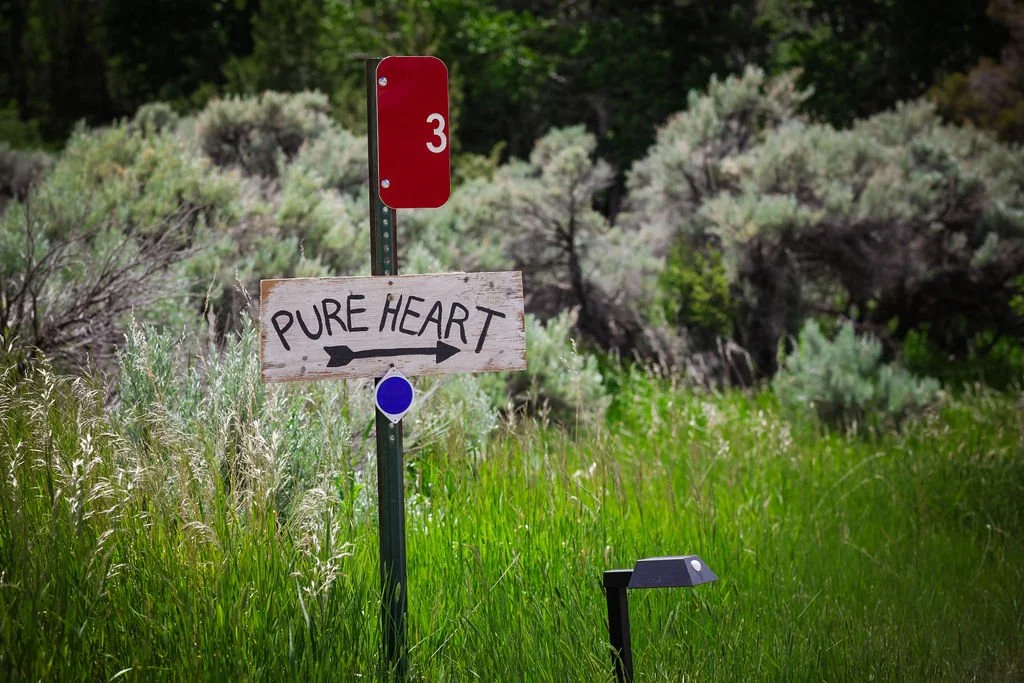 A signpost in a grassy field with a wooden sign that reads 'Pure Heart' and an arrow pointing to the right, with a small blue and white sticker underneath, and a red number 3 sign above. There are tall grasses and trees in the background.