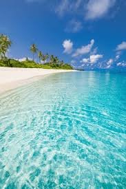 Caribe