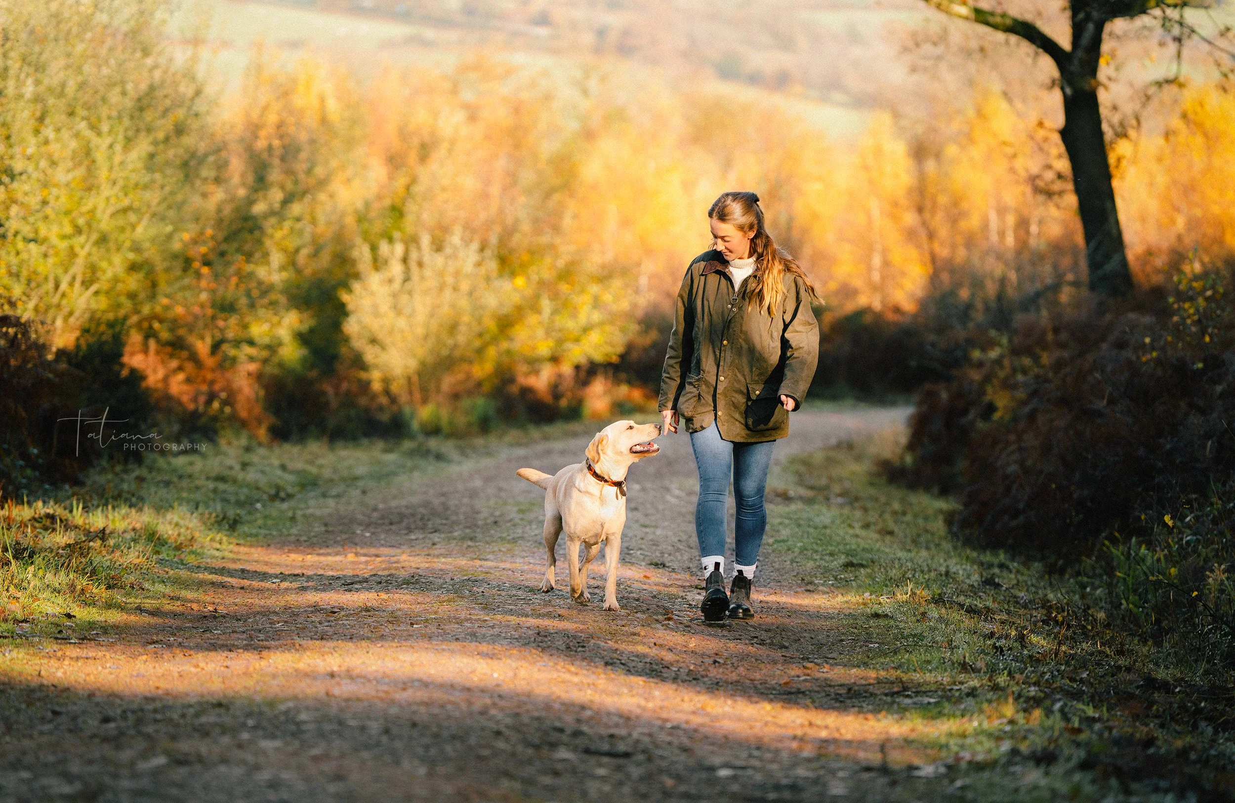 A woman walking a yellow Labrador retriever on a dirt trail surrounded by autumn trees with yellow and orange leaves.