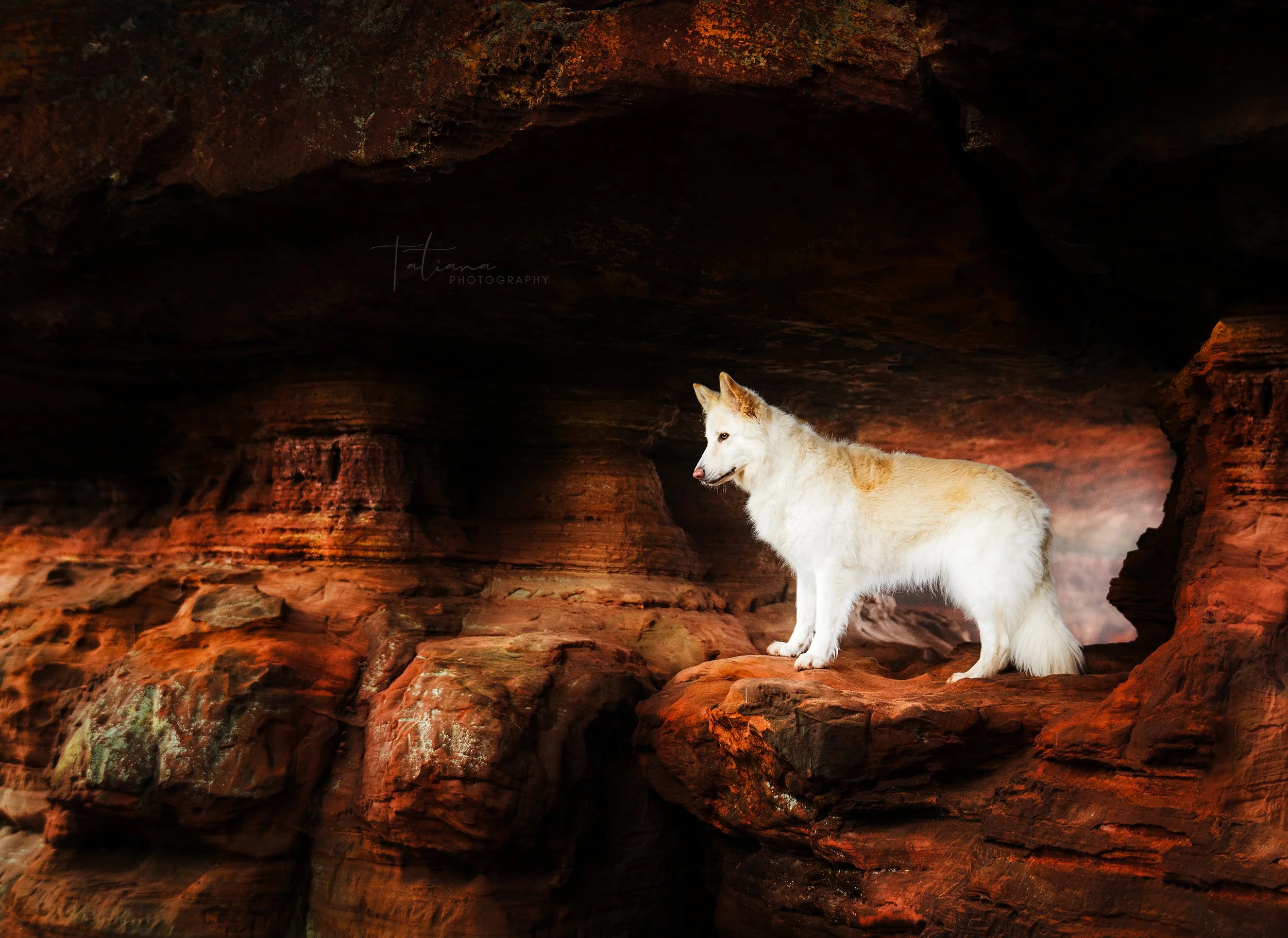 A white dog with some light brown patches standing on reddish rock formation inside a dark cave.