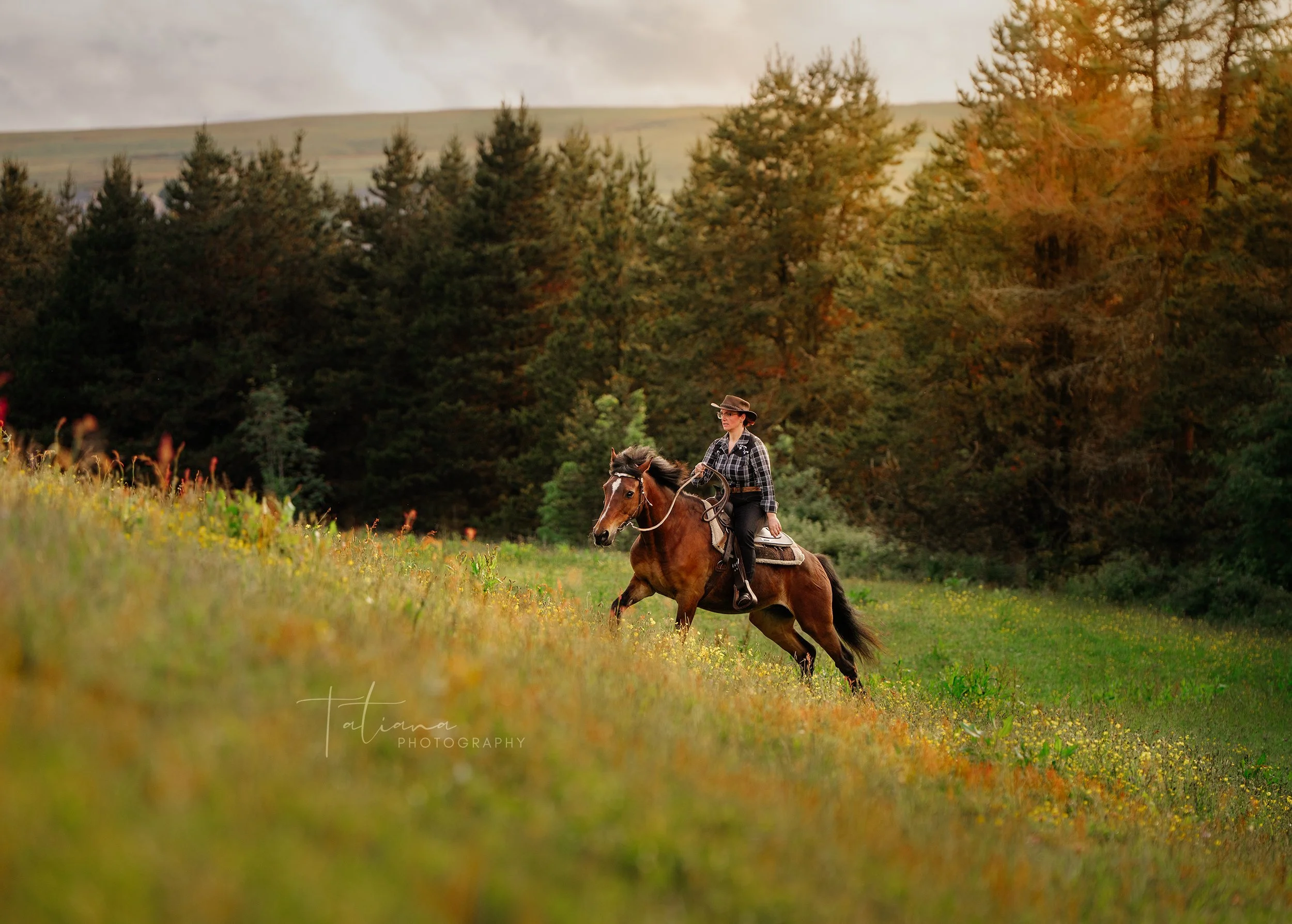 A woman riding a brown horse on a grassy hillside, with trees displaying fall foliage in the background.