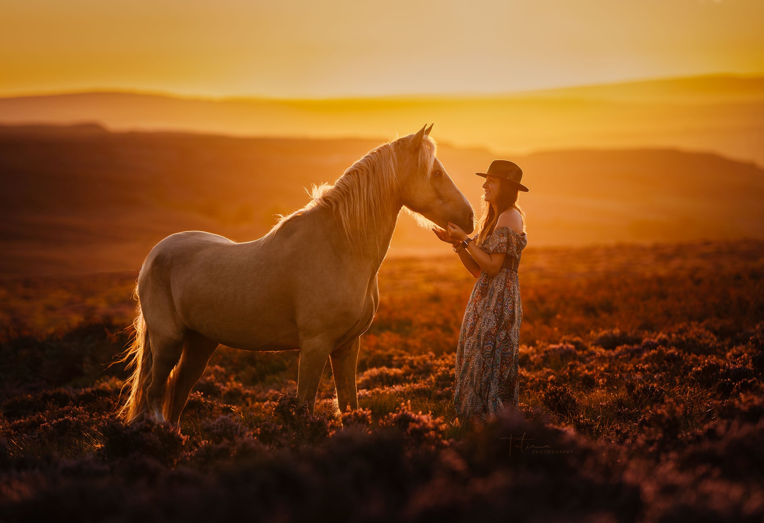A woman in a sundress and hat gently holds the face of a palomino horse during sunset in a open field with rolling hills.