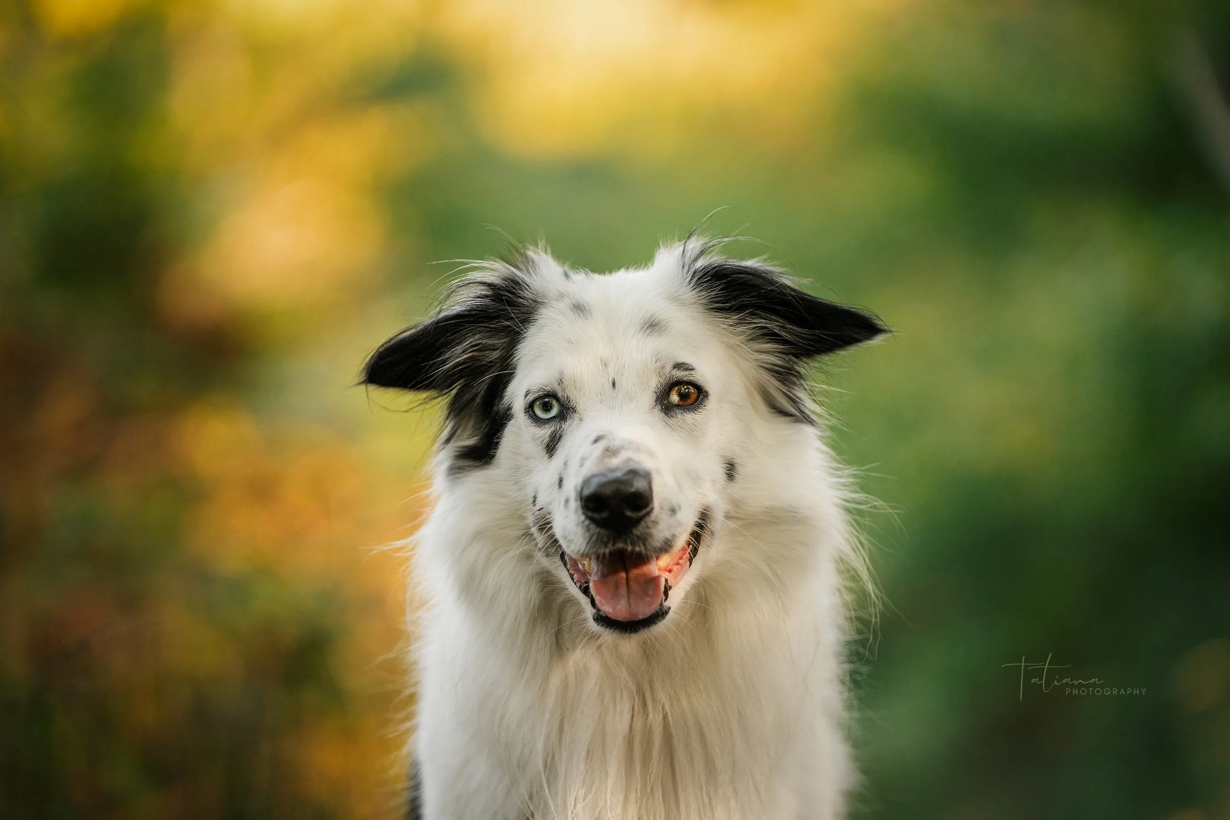 DSC05735WEB.jpg