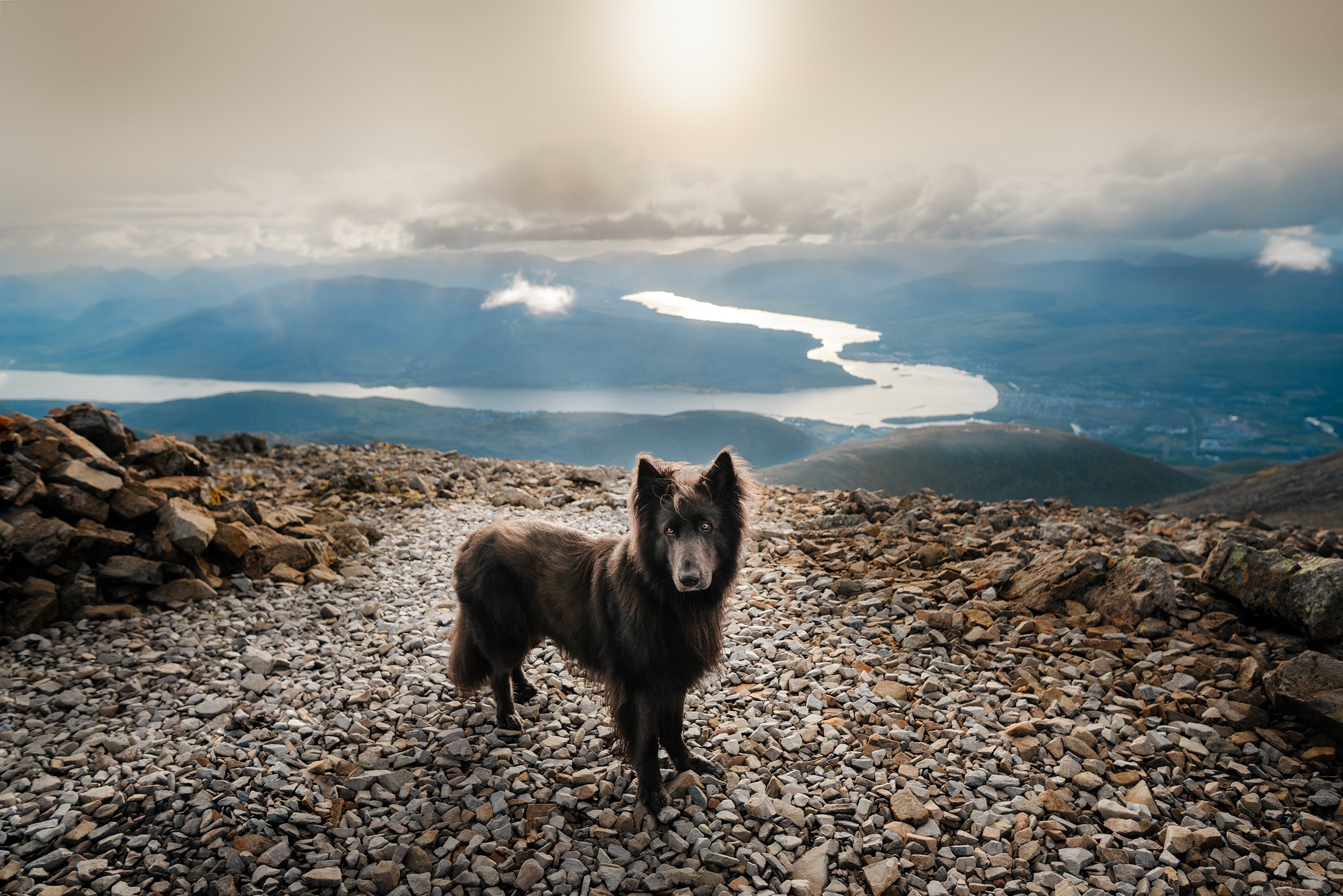 A black dog standing on a rocky mountain trail overlooking a valley with a winding river and distant mountains.