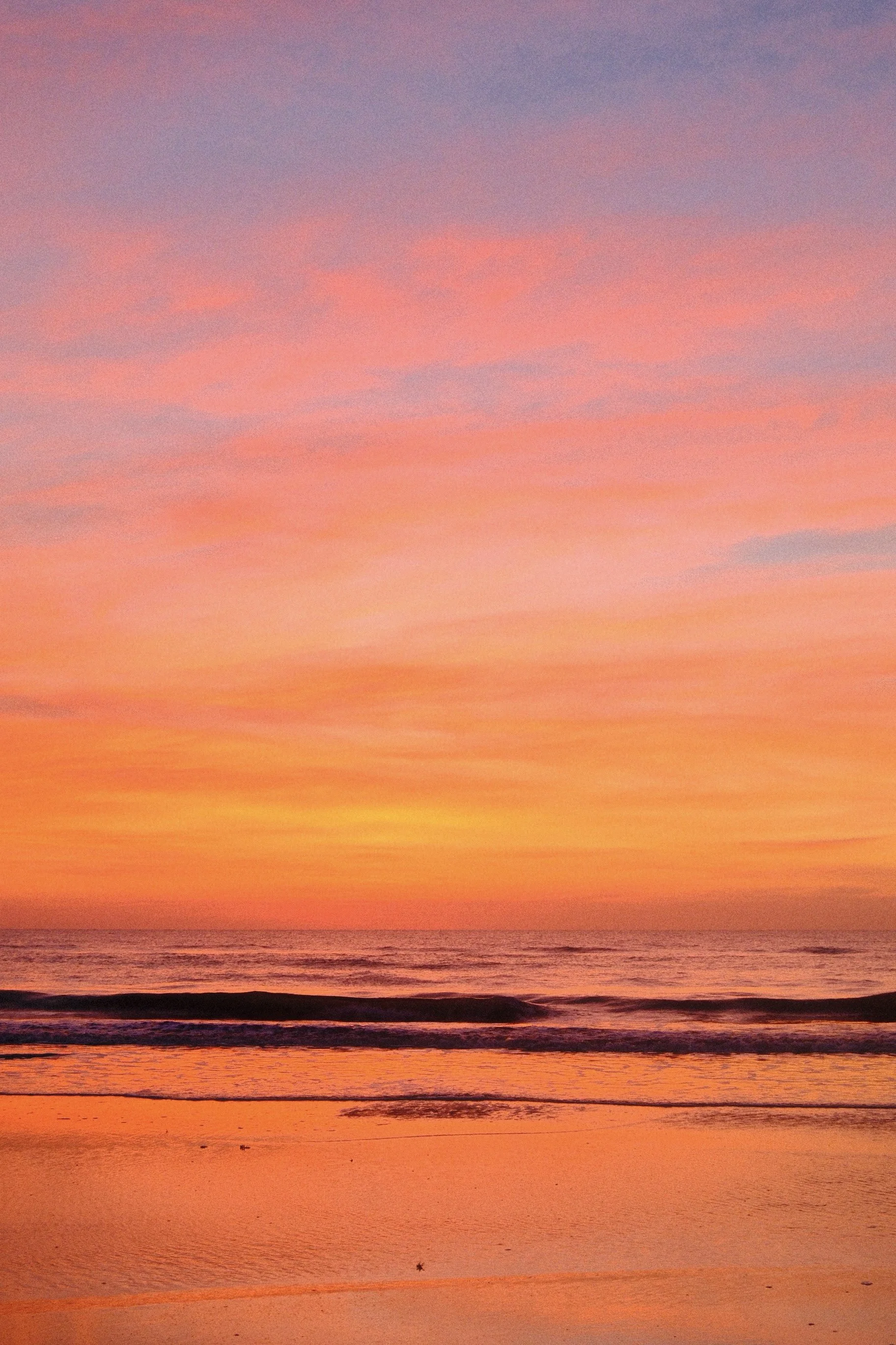 DSCF8826.jpg