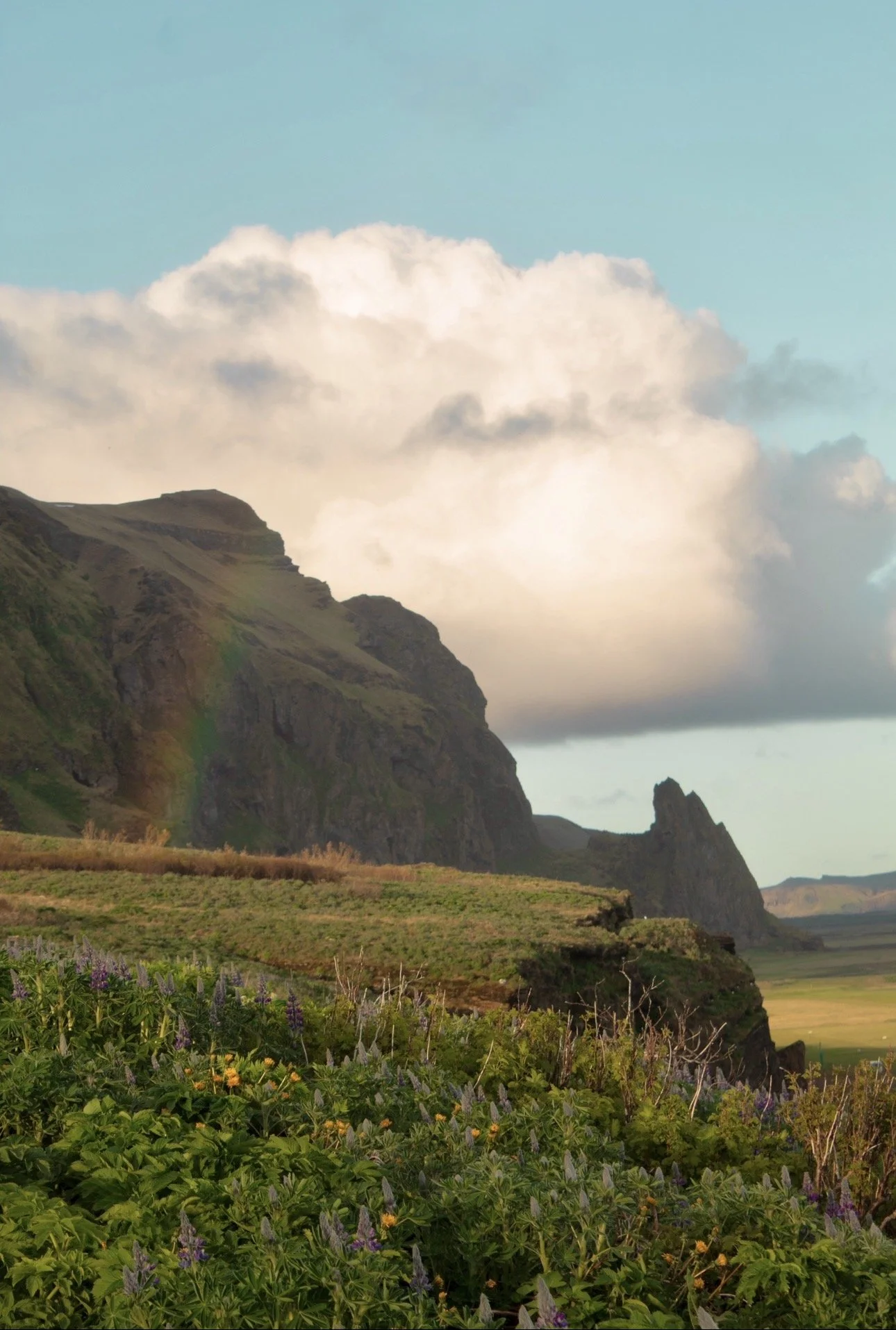 Landscapes