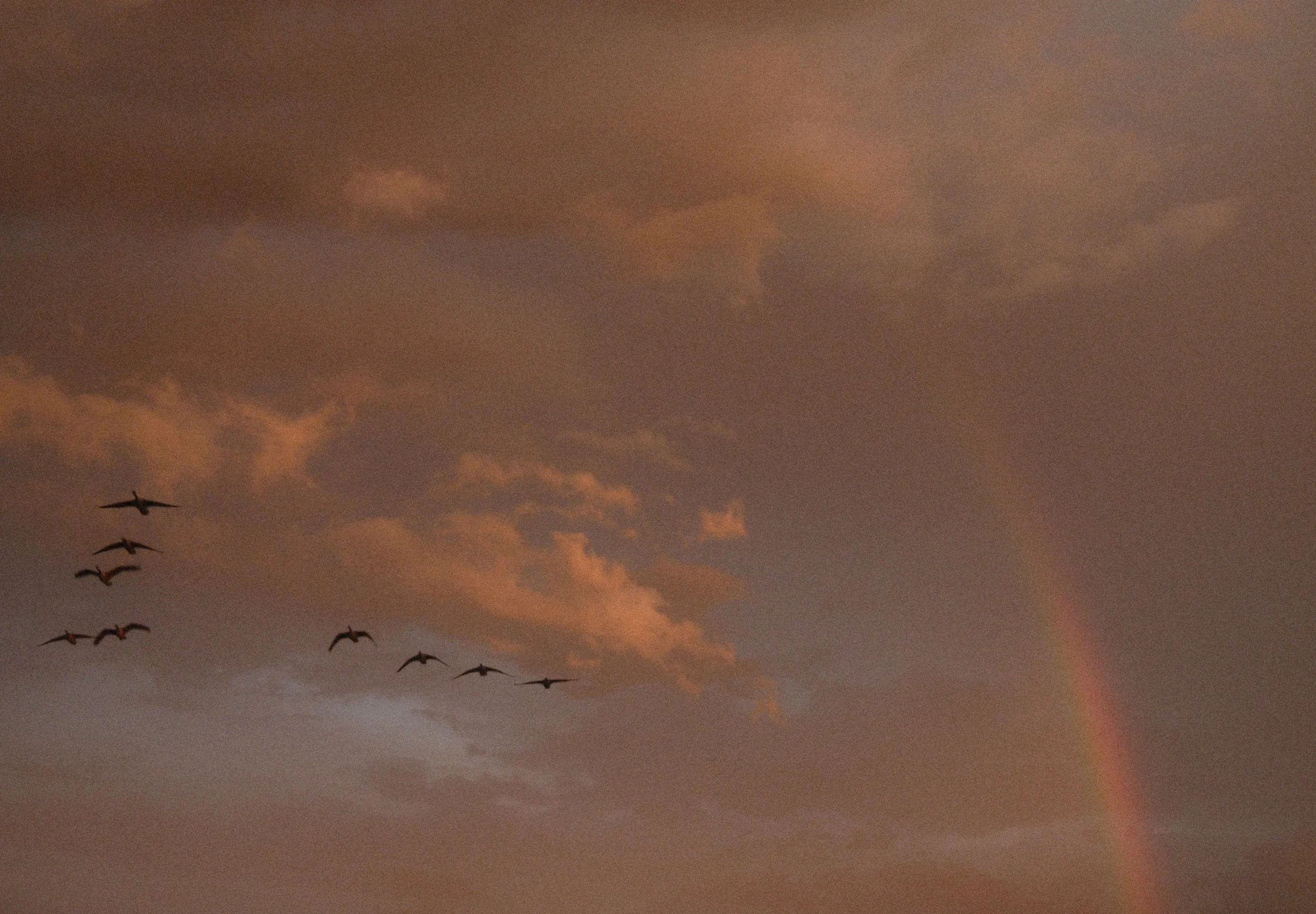 DSCF9963 2.jpg