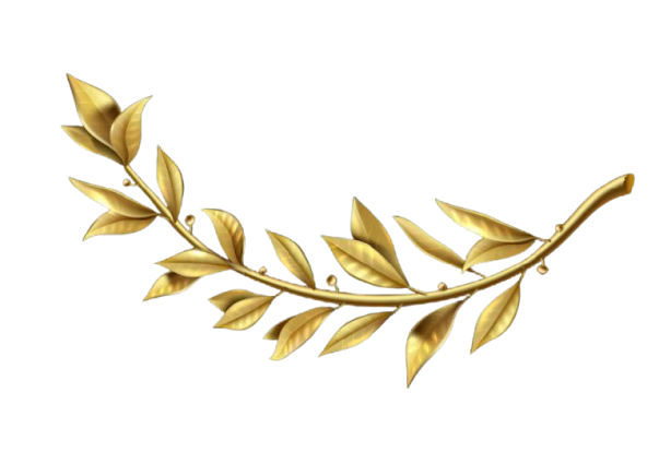 Golden decorative laurel branch with leaves on a black background.