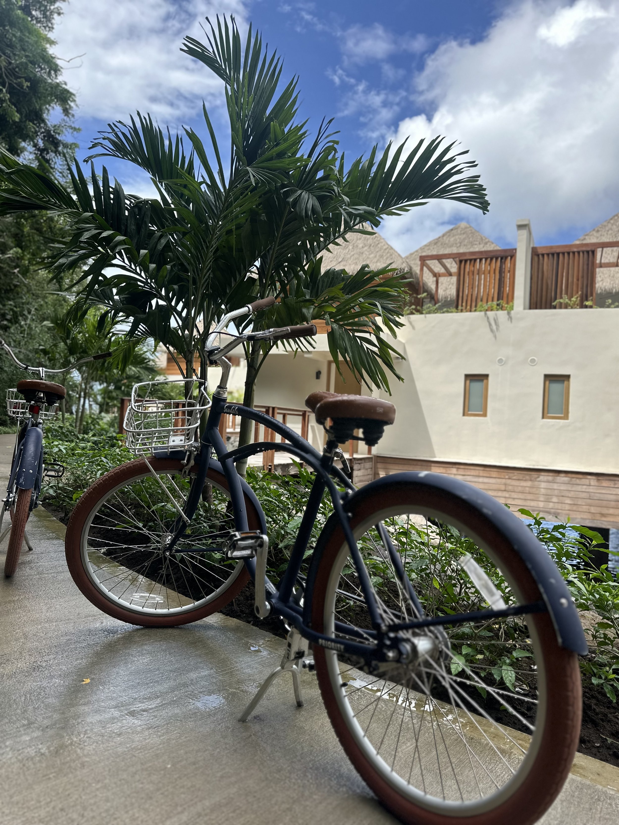 IMG_9814.jpeg