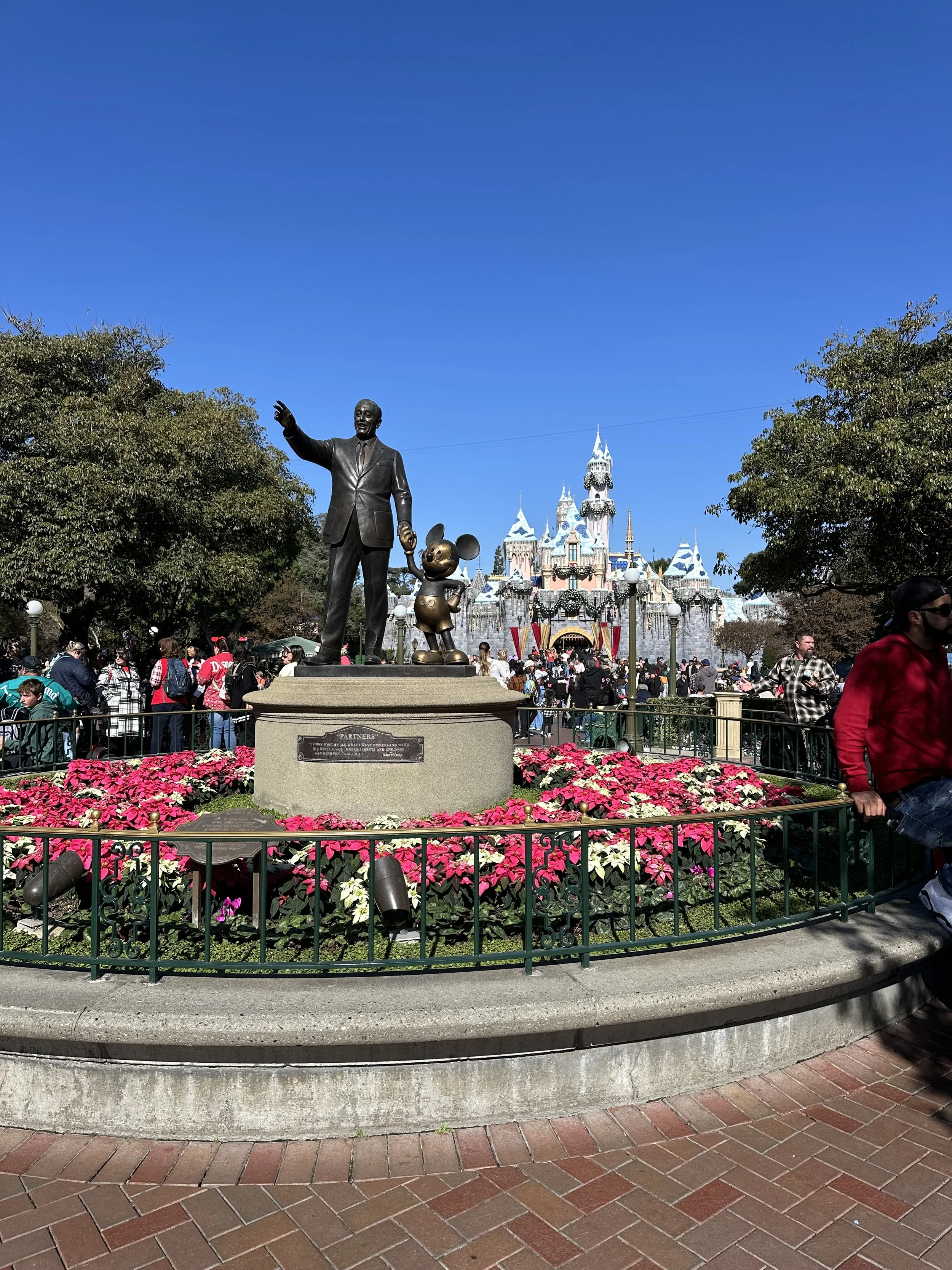 IMG_4788.jpeg