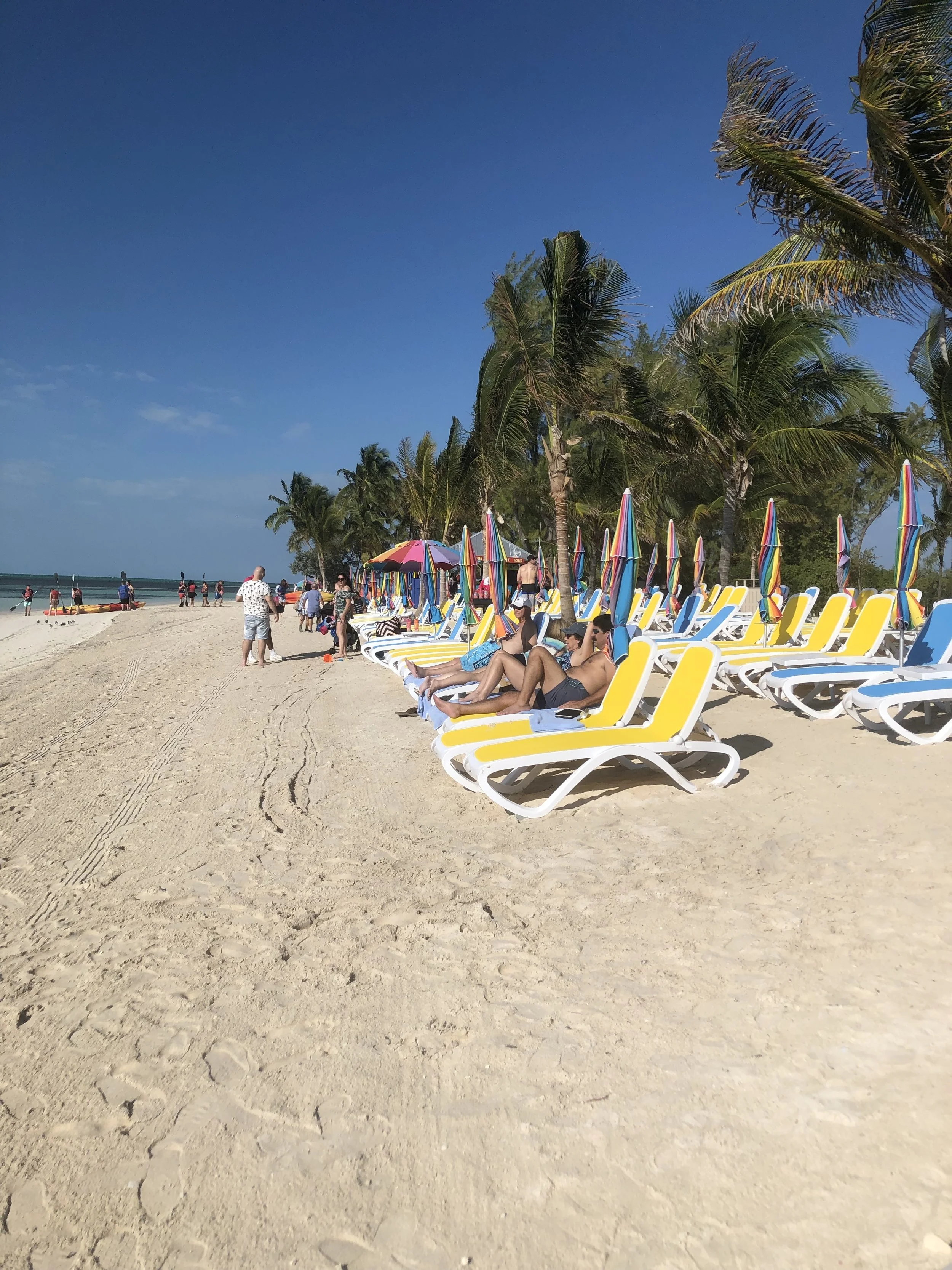 IMG_2597.jpg
