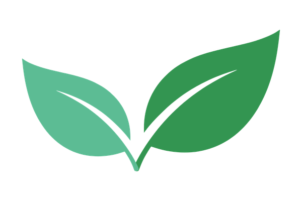 Two green tea leaves, one in front of the other, with a simple black background.